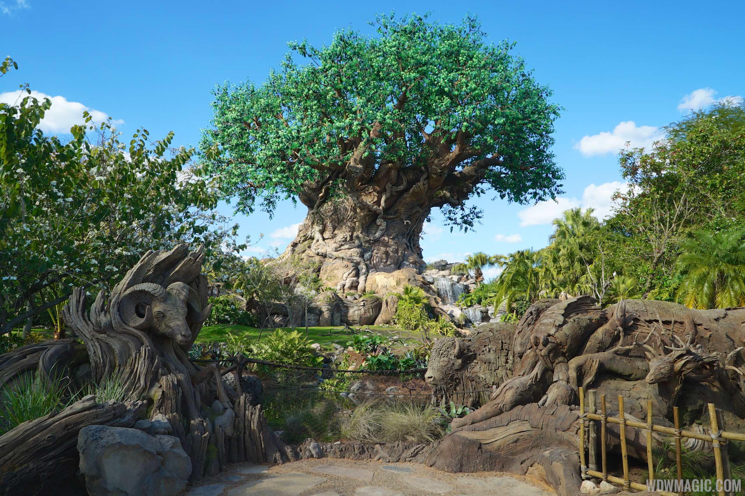 Tree of Life - the centerpiece of  Disney's Animal Kingdom