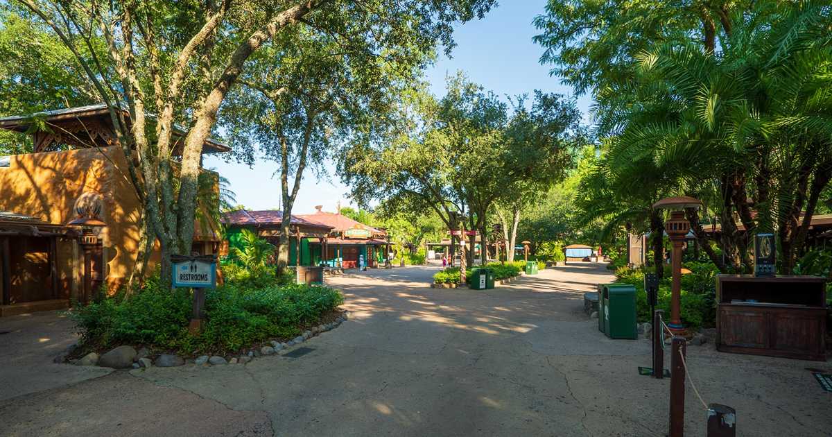 Narwhal watching & polar bear safari Disney's Animal Kingdom walk-through with COVID-19 restrictions - Photo