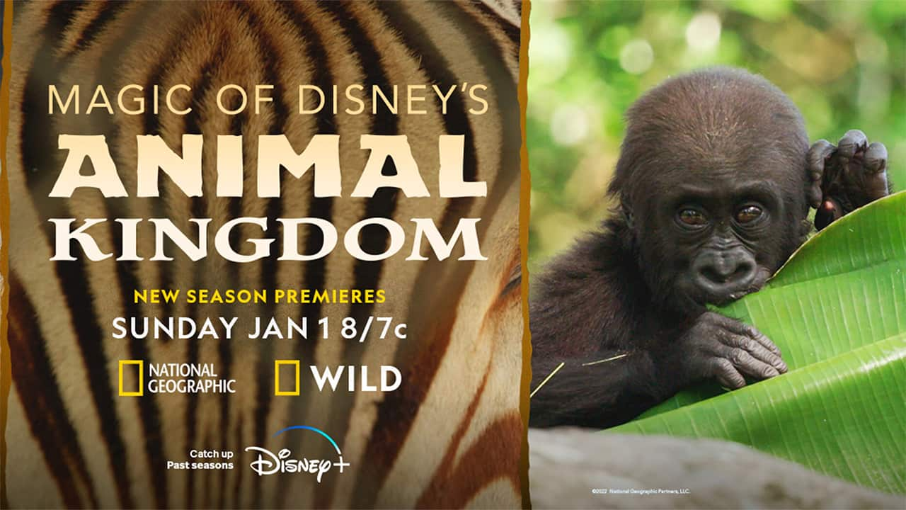 'Magic of Disney's Animal Kingdom' returns to National Geographic and