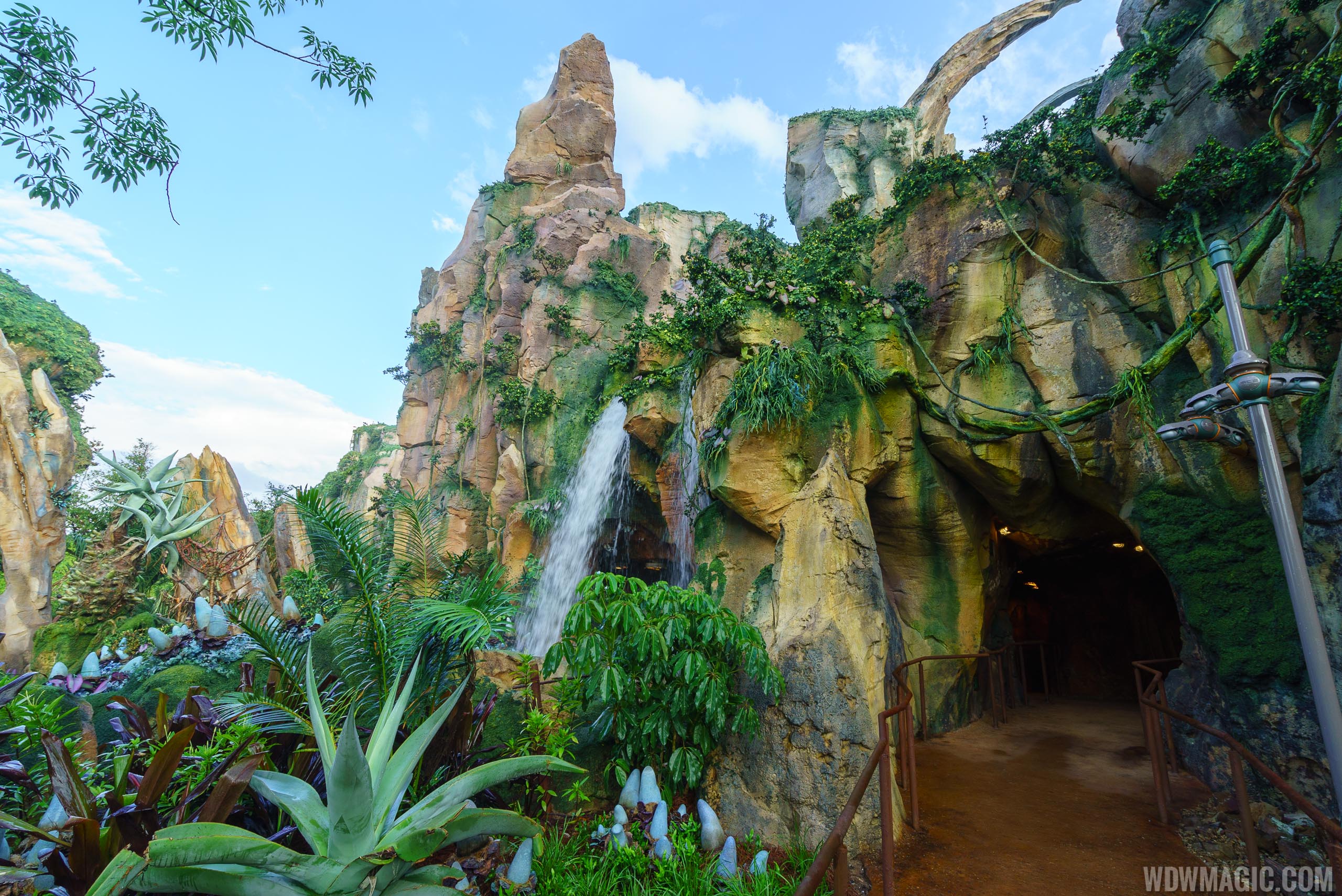 Avatar Flight of Passage tour Photo 49 of 49