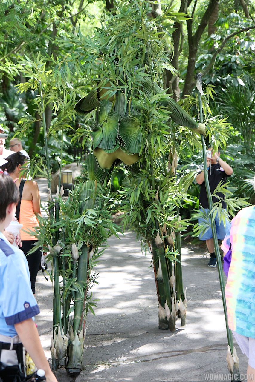 Bamboo opening day Photo 2 of 12