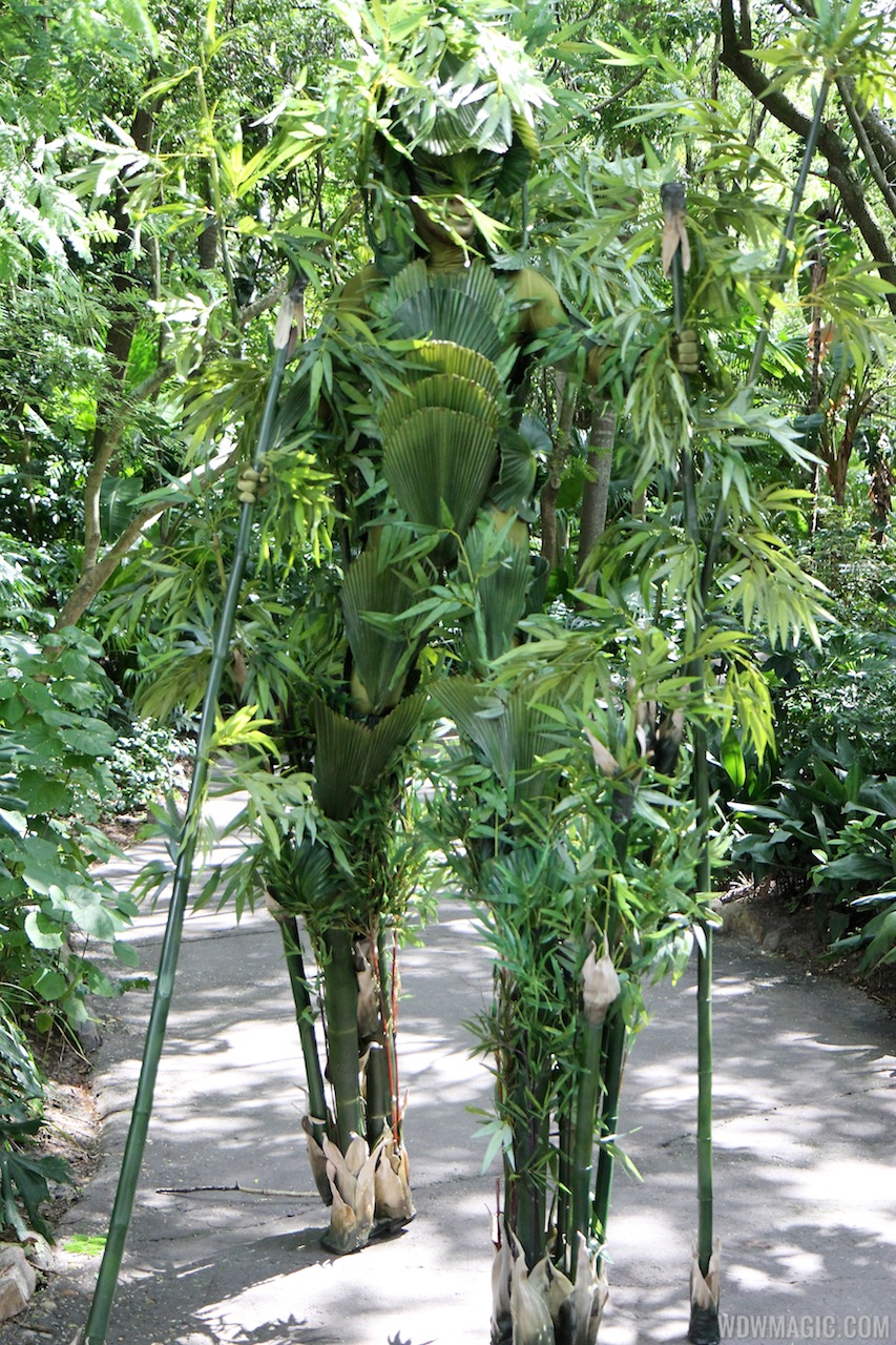 Bamboo opening day Photo 5 of 12