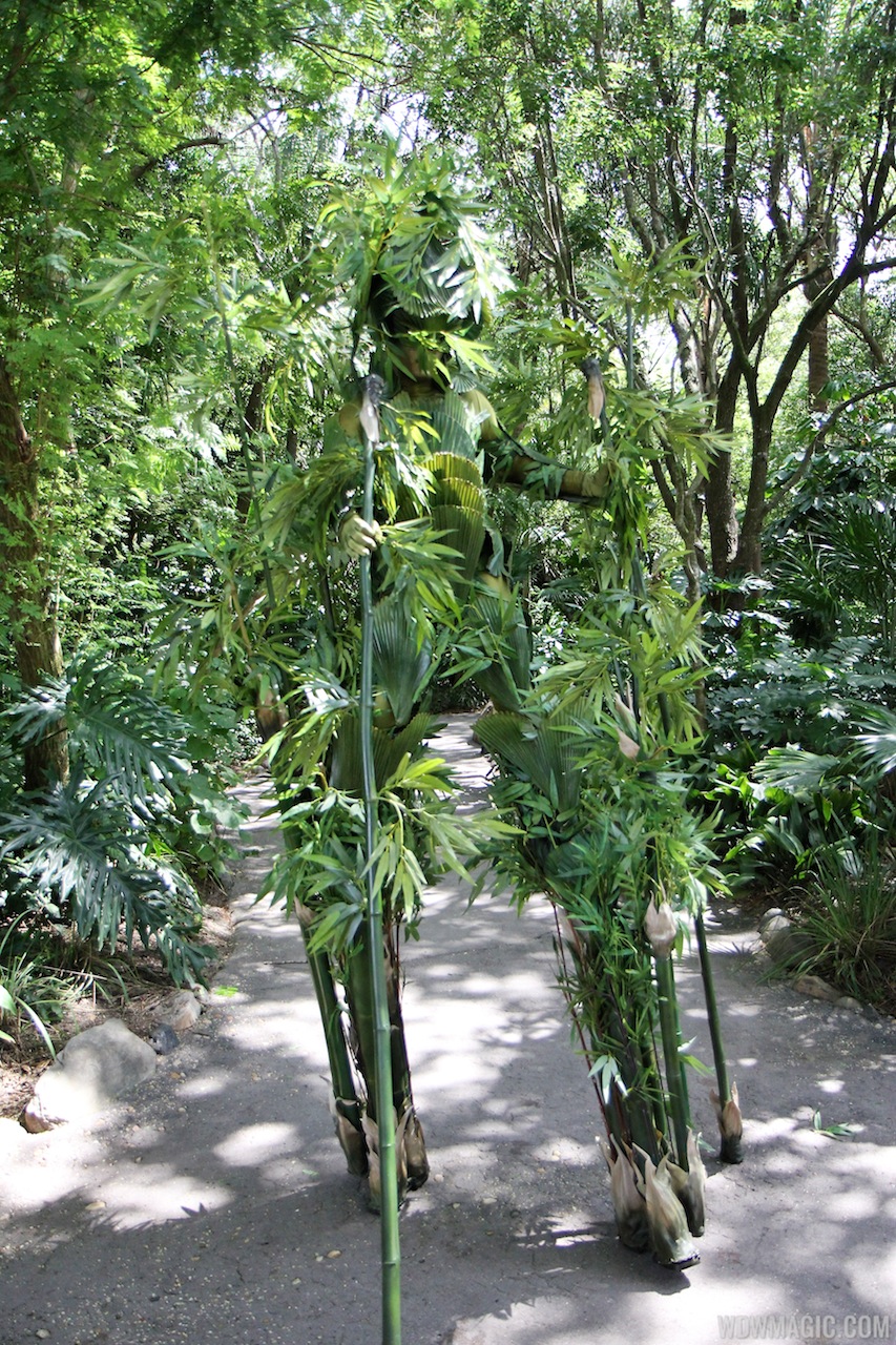 Bamboo opening day Photo 7 of 12