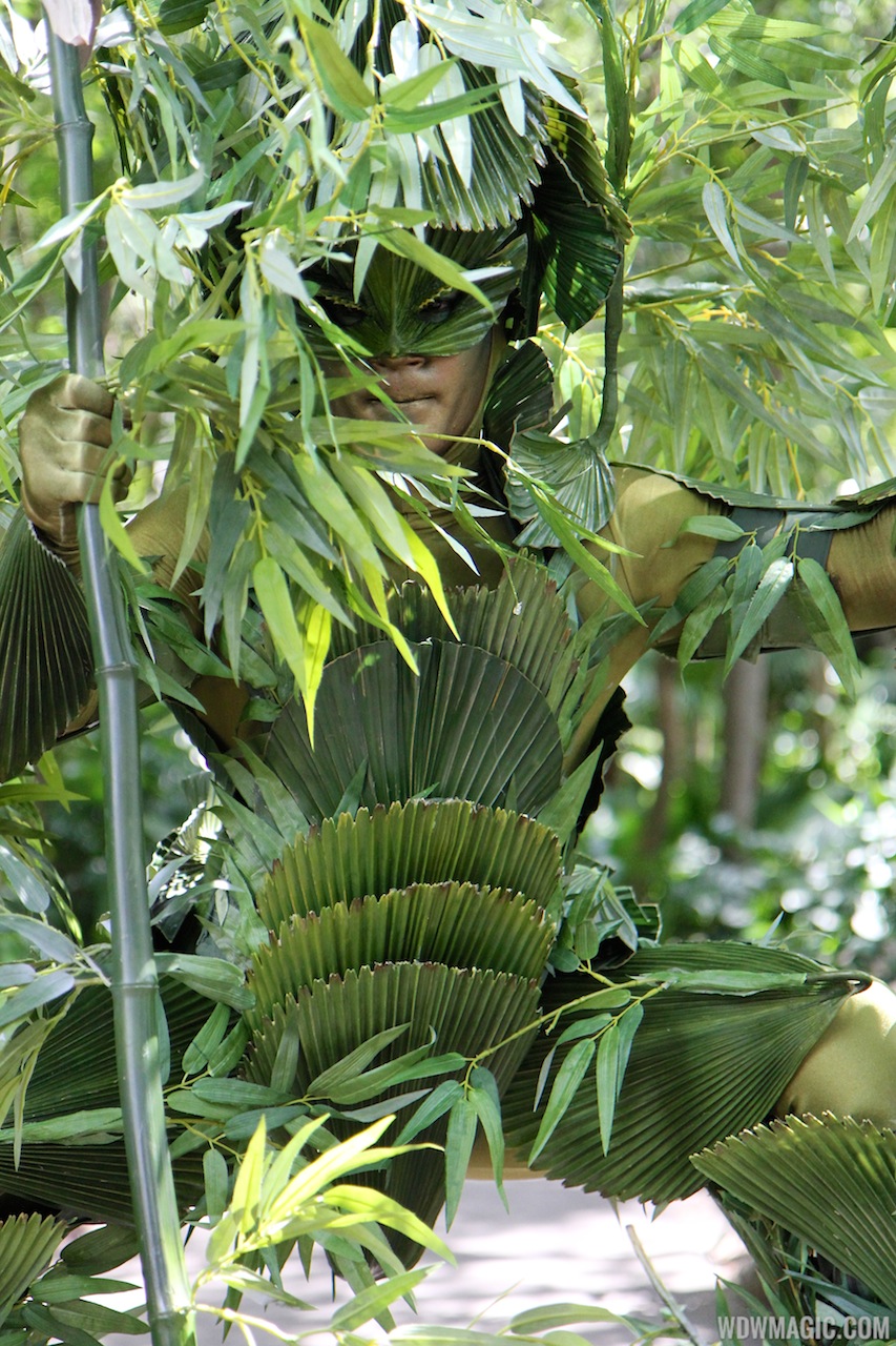 Bamboo opening day Photo 8 of 12