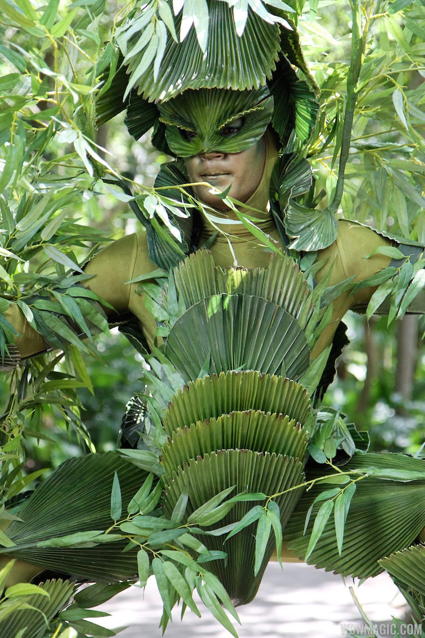 Bamboo opening day Photo 9 of 12