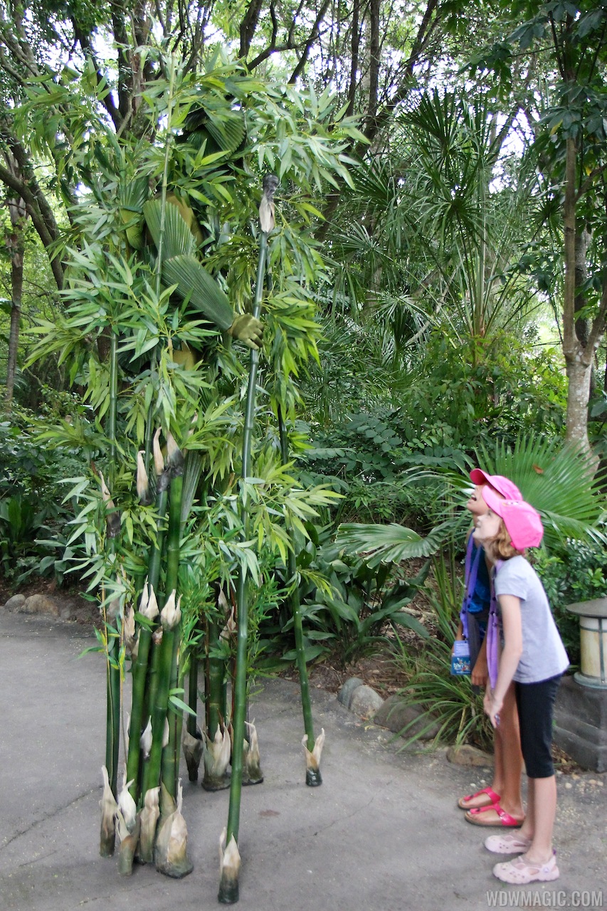 Bamboo opening day Photo 11 of 12