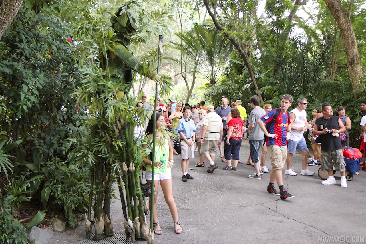 Bamboo opening day Photo 12 of 12