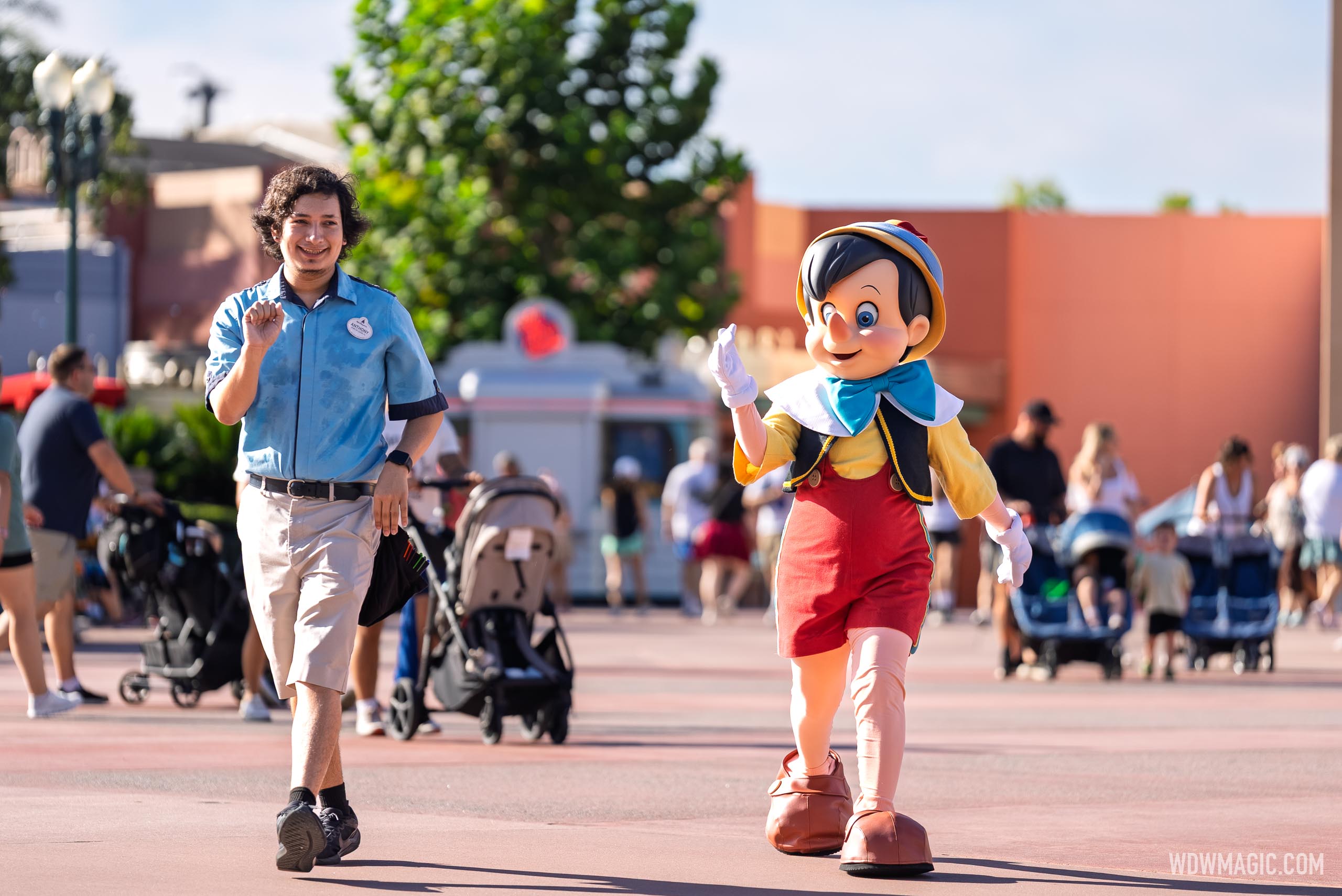 www.wdwmagic.com