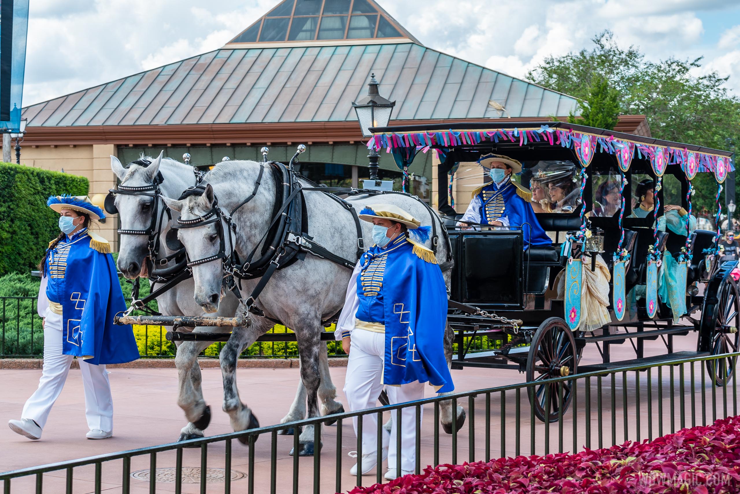 www.wdwmagic.com
