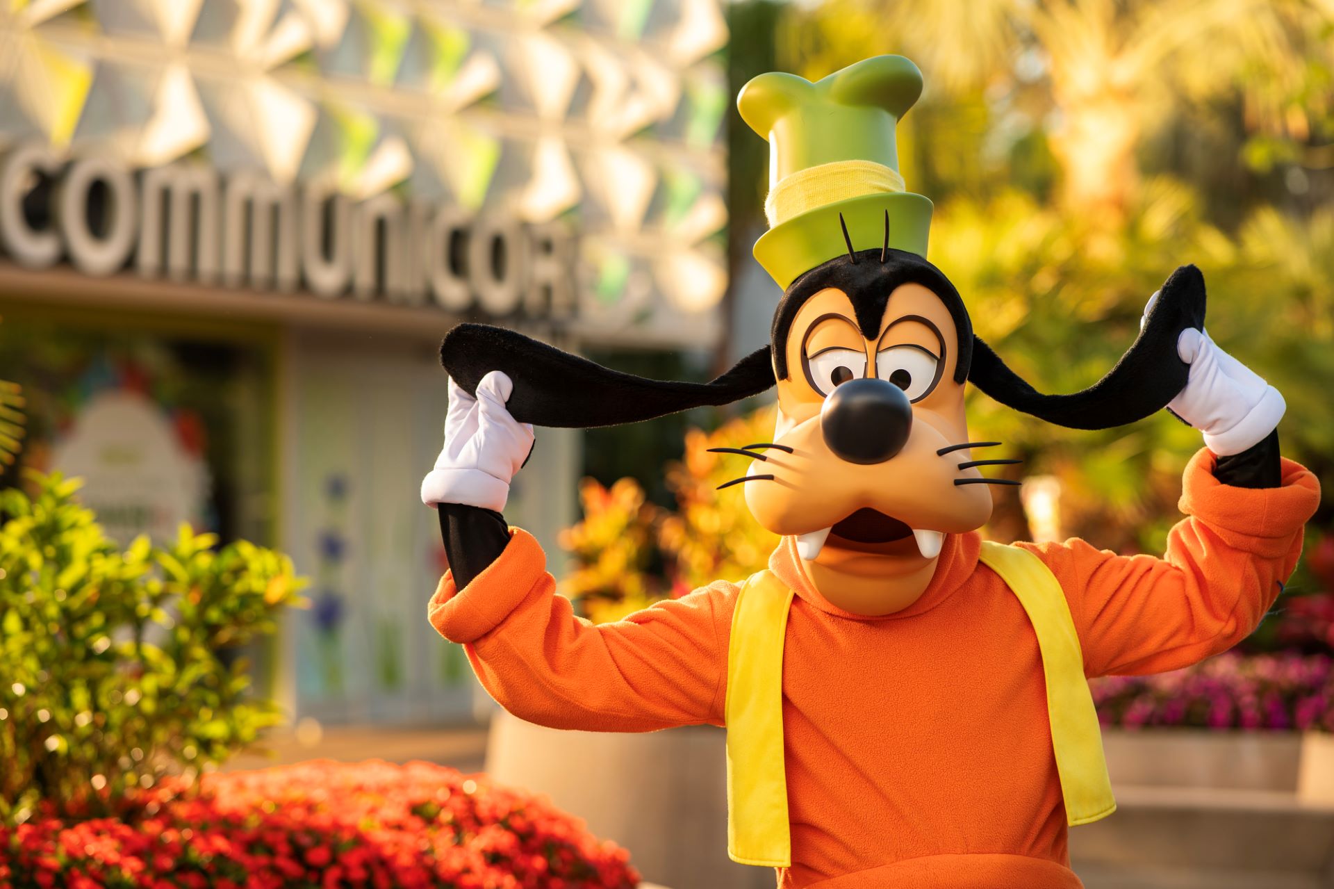 www.wdwmagic.com