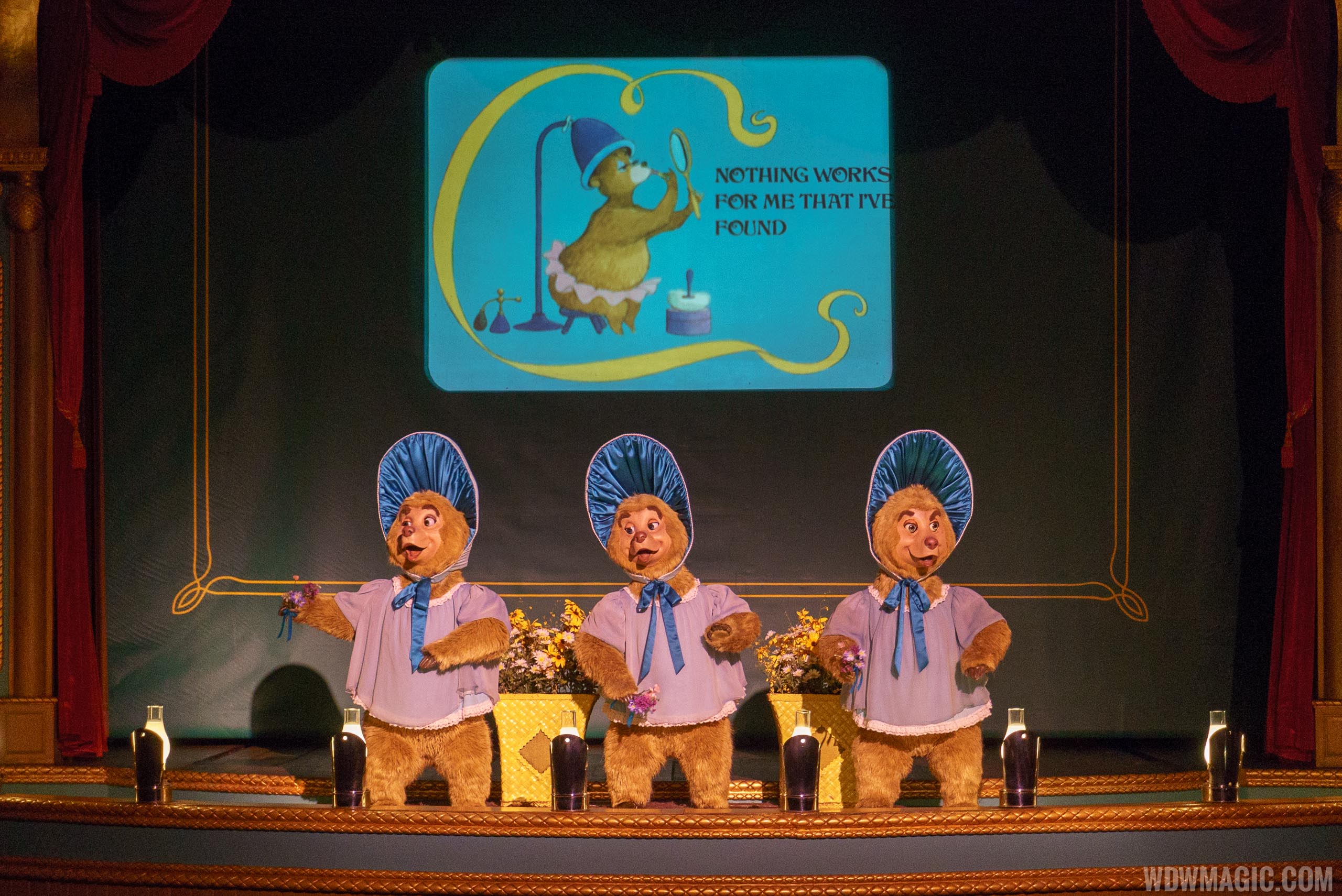 VIDEO - New Country Bear Jamboree Debuts At The Magic Kingdom