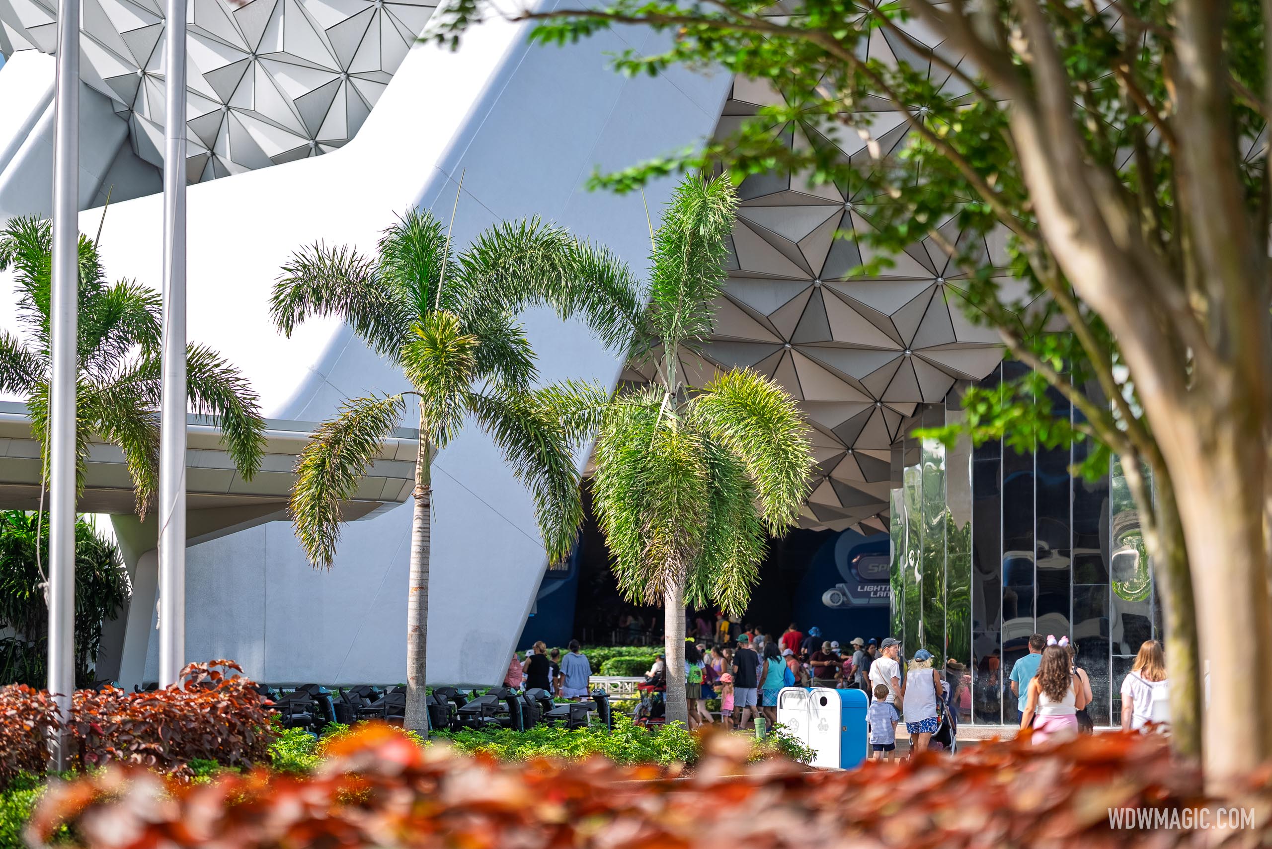 New EPCOT Main Entrance Area Landscaping and Palm Trees - Photo 8 of 8