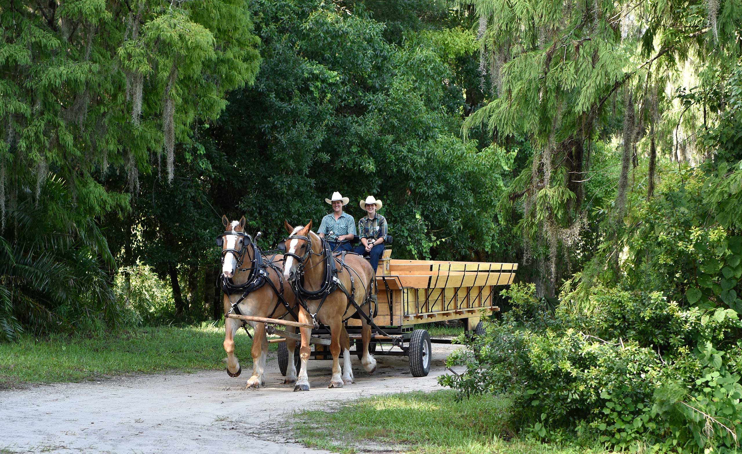 fort wilderness wagon ride