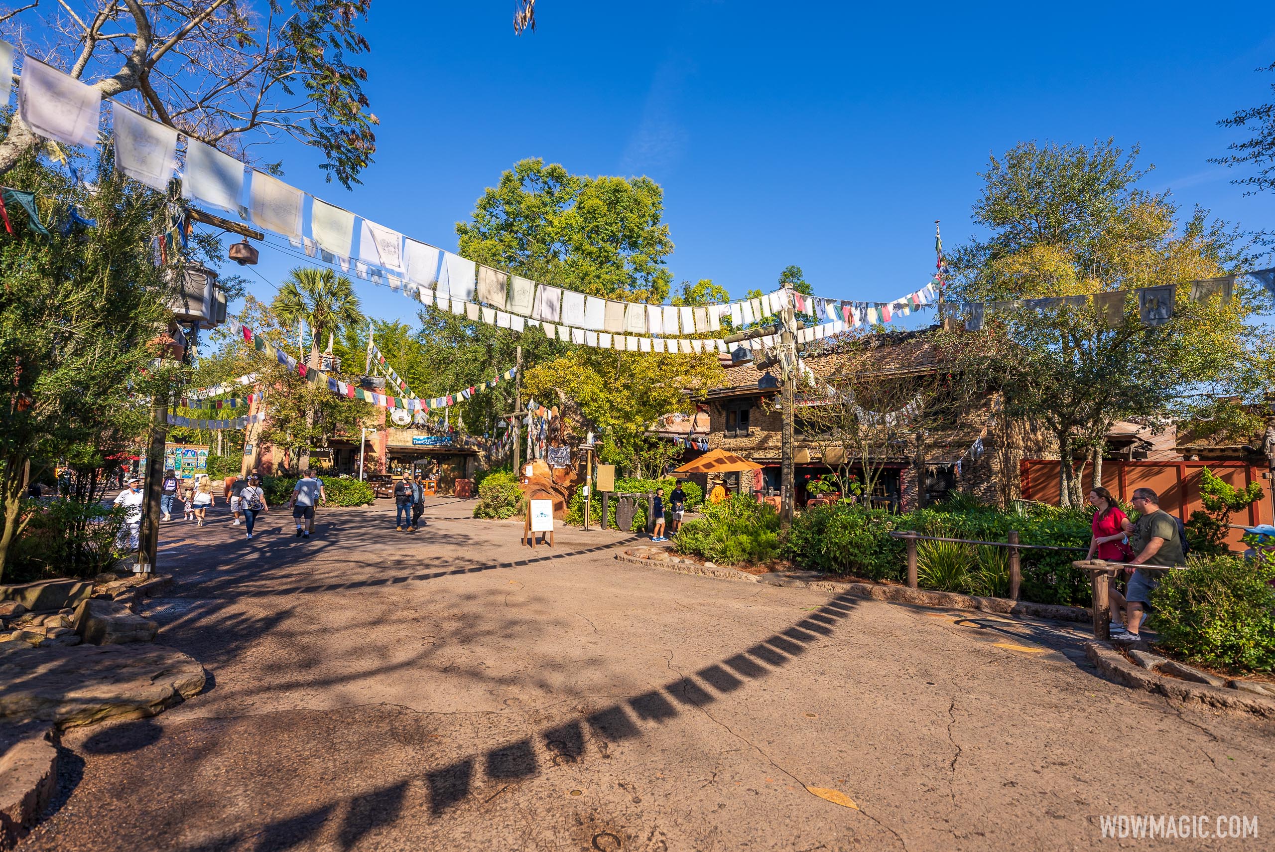 Expedition Everest closed for refurbishment January 2022 Photo 9 of 11