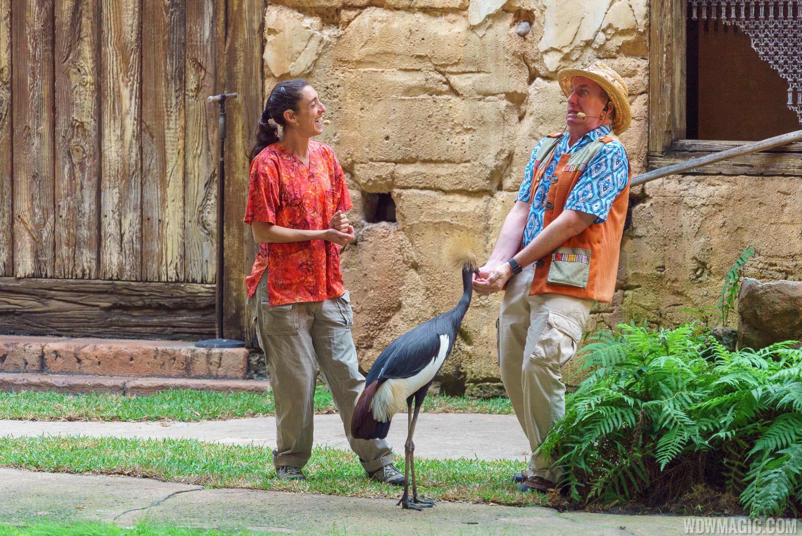 New bird show at Disney's Animal Kingdom to be called 'Adventurers Meet