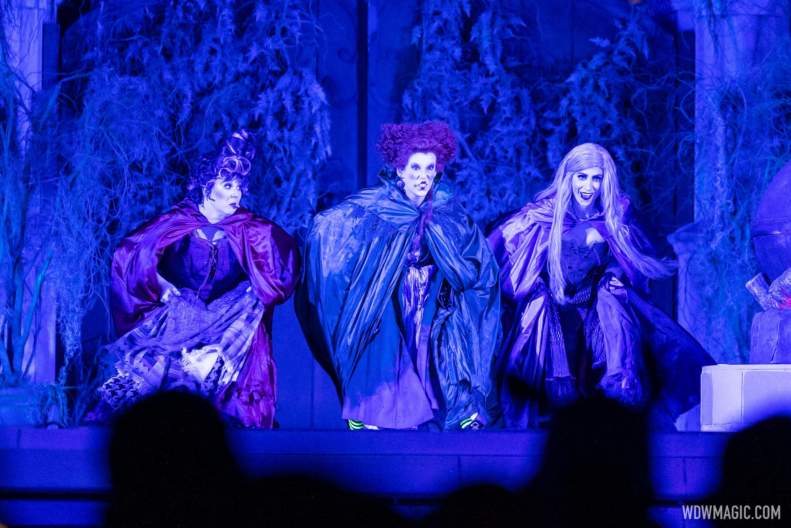 Hocus Pocus Villain Spelltacular 2022 - Photo 6 of 39