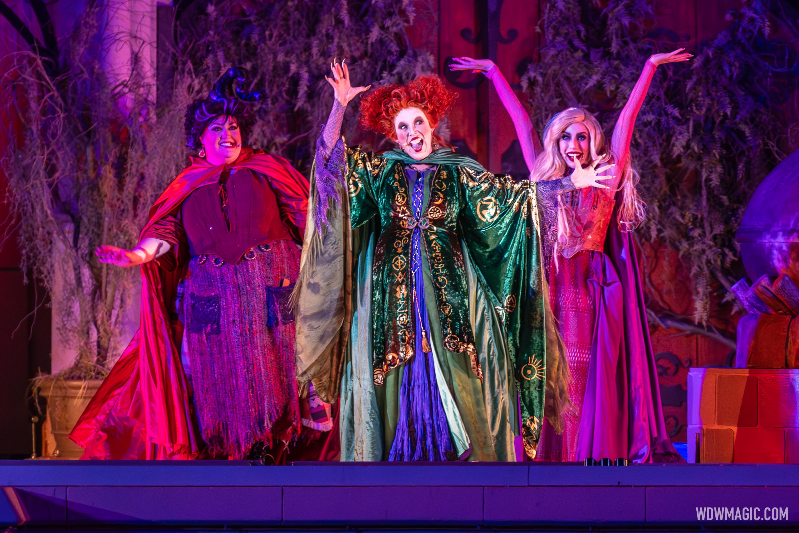 Hocus Pocus Villain Spelltacular 2023 - Photo 6 of 53