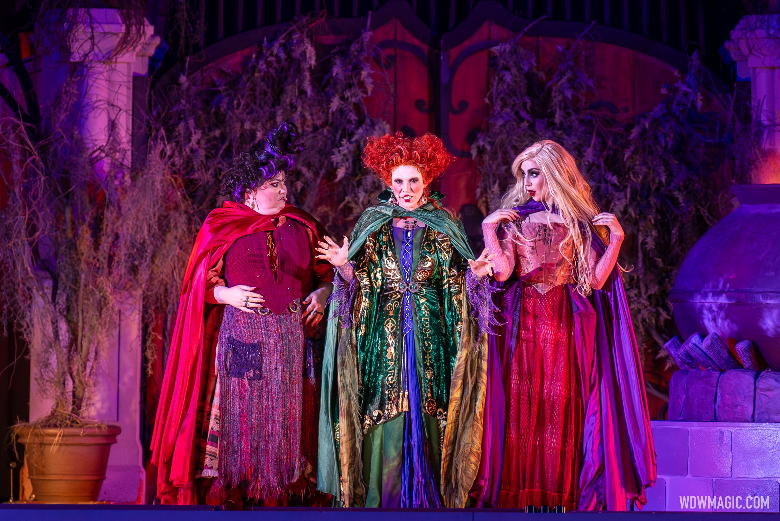 Hocus Pocus Villain Spelltacular 2023 - Photo 7 of 53
