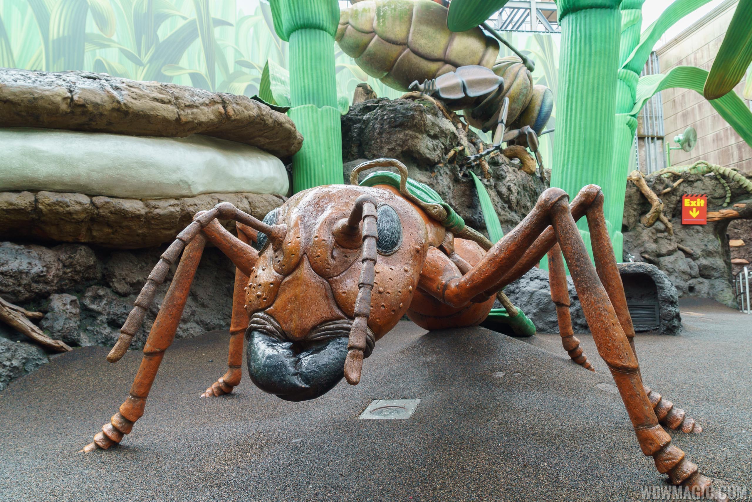 Honey, I Shrunk the Kids Movie Set Adventure overview Photo 13 of 19