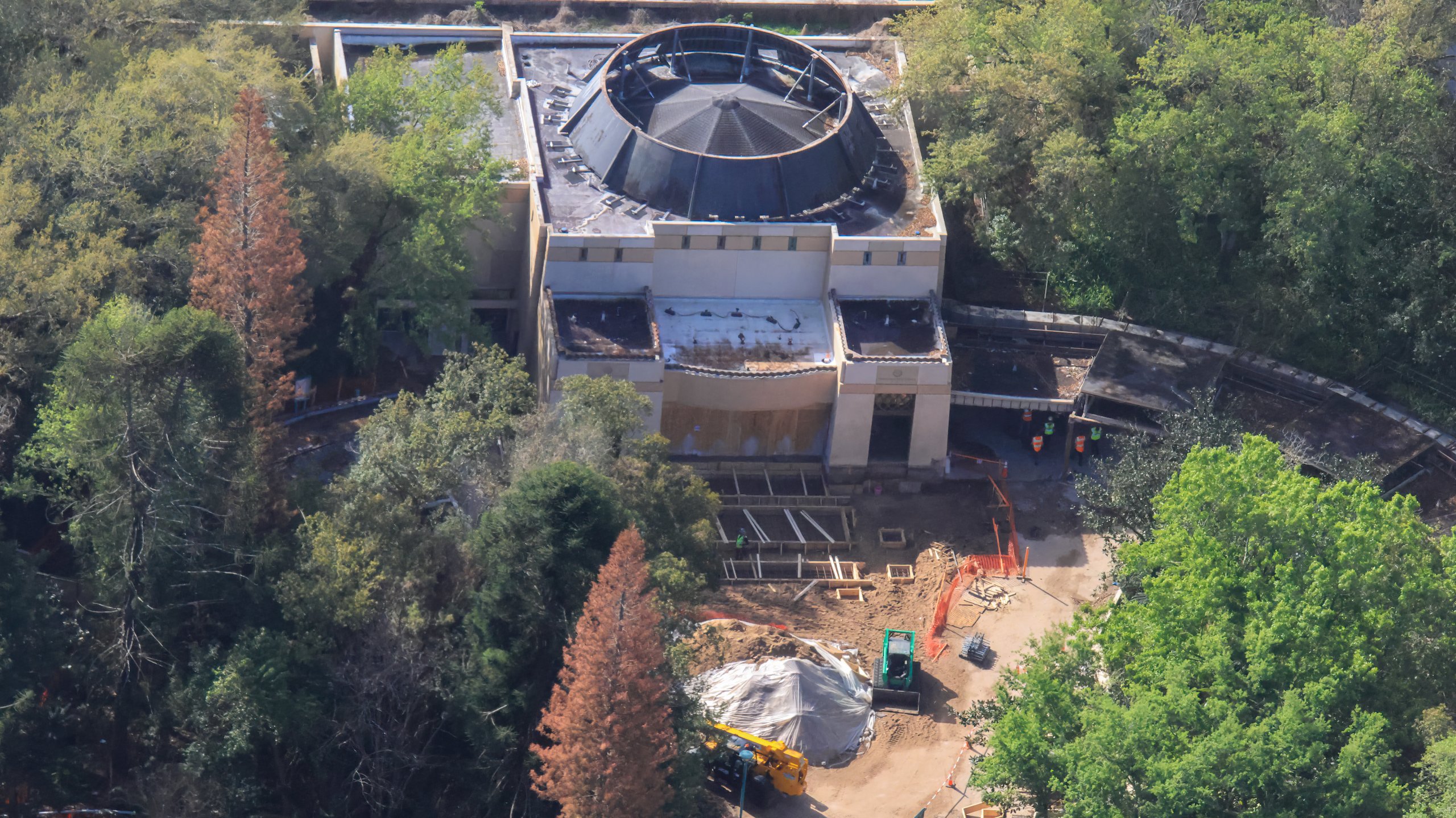 Indiana Jones Construction Aerials - Animal Kingdom March 13, 2026 ...