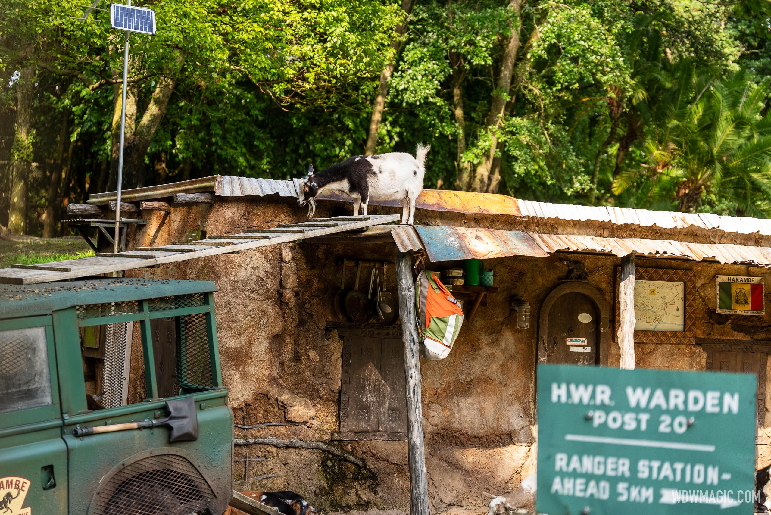 Little Red Returns: Kilimanjaro Safaris' Baby Elephant Animatronic Is Back at Disney's Animal Kingdom