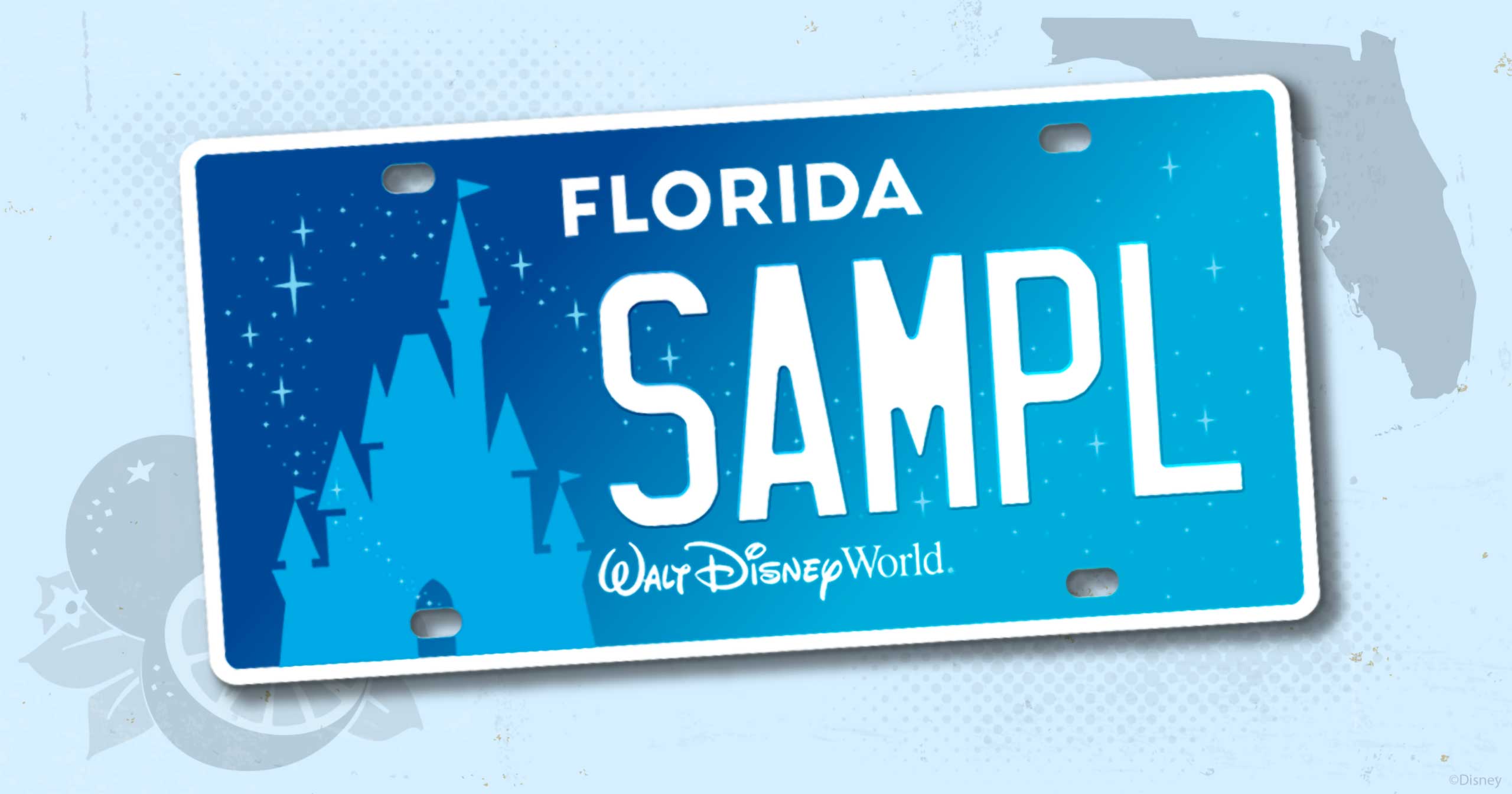 Disney World Raises $5 Million for Make-A-Wish Through License Plate Sales