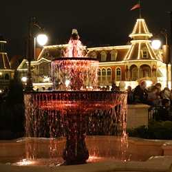 PHOTOS - After-dark in the new Main Street Plaza Gardens at the Magic ...