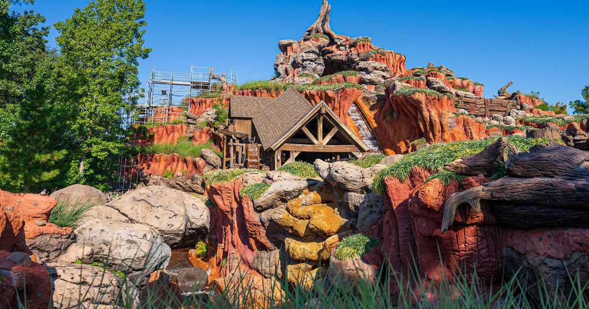 Scaffolding at Splash Mountain - August 9 2021