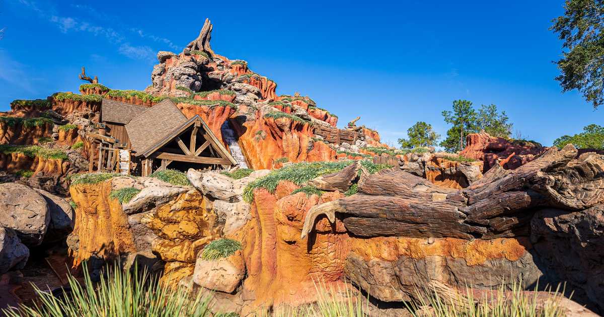 Splash Mountain exterior - Photo 11 of 41