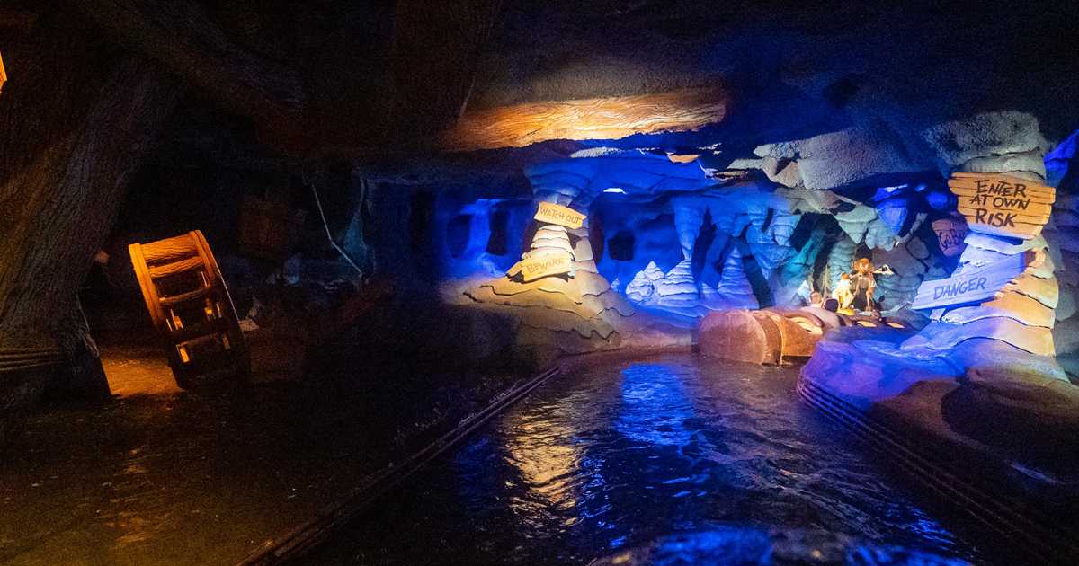 Splash Mountain indoor queue and on-ride - Photo 39 of 59