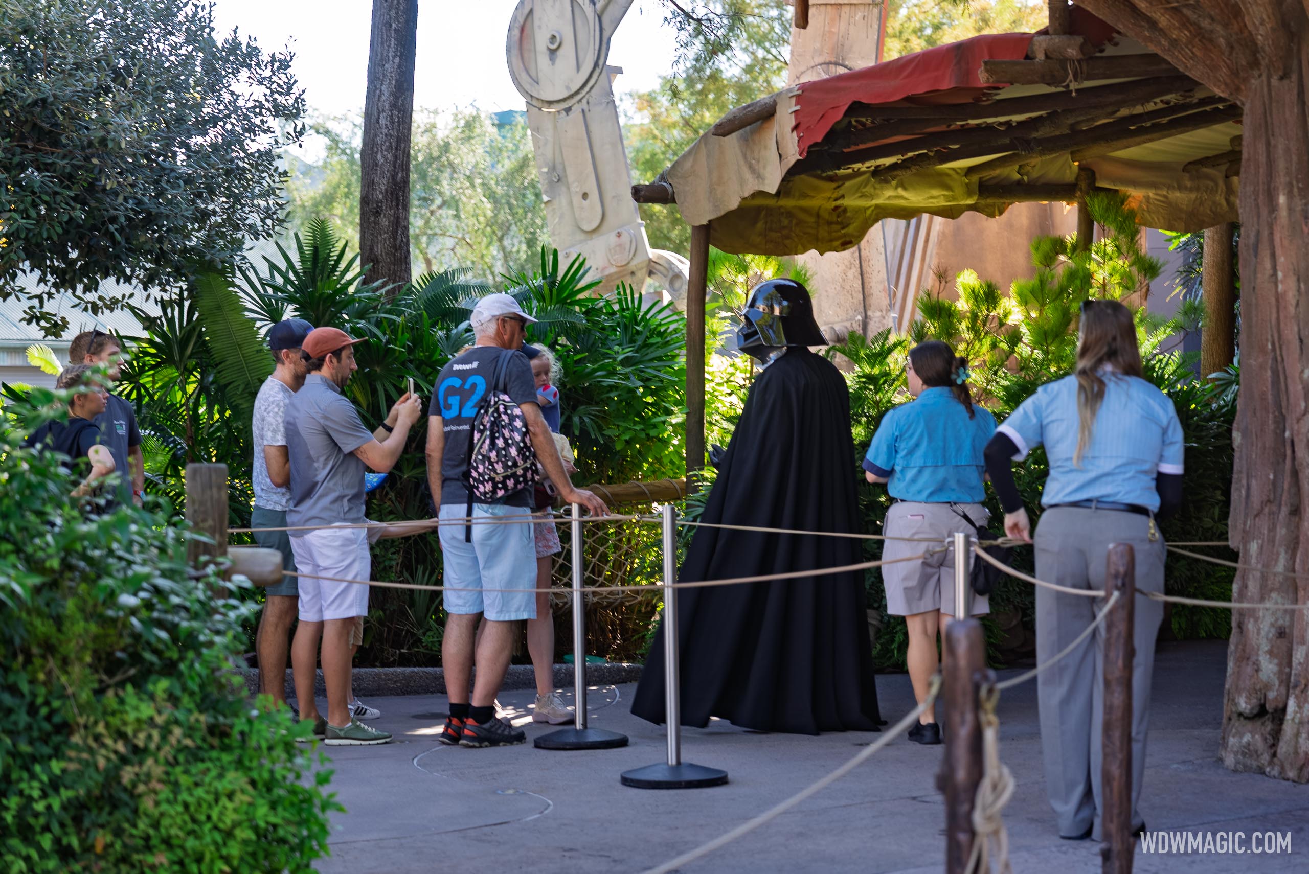 www.wdwmagic.com