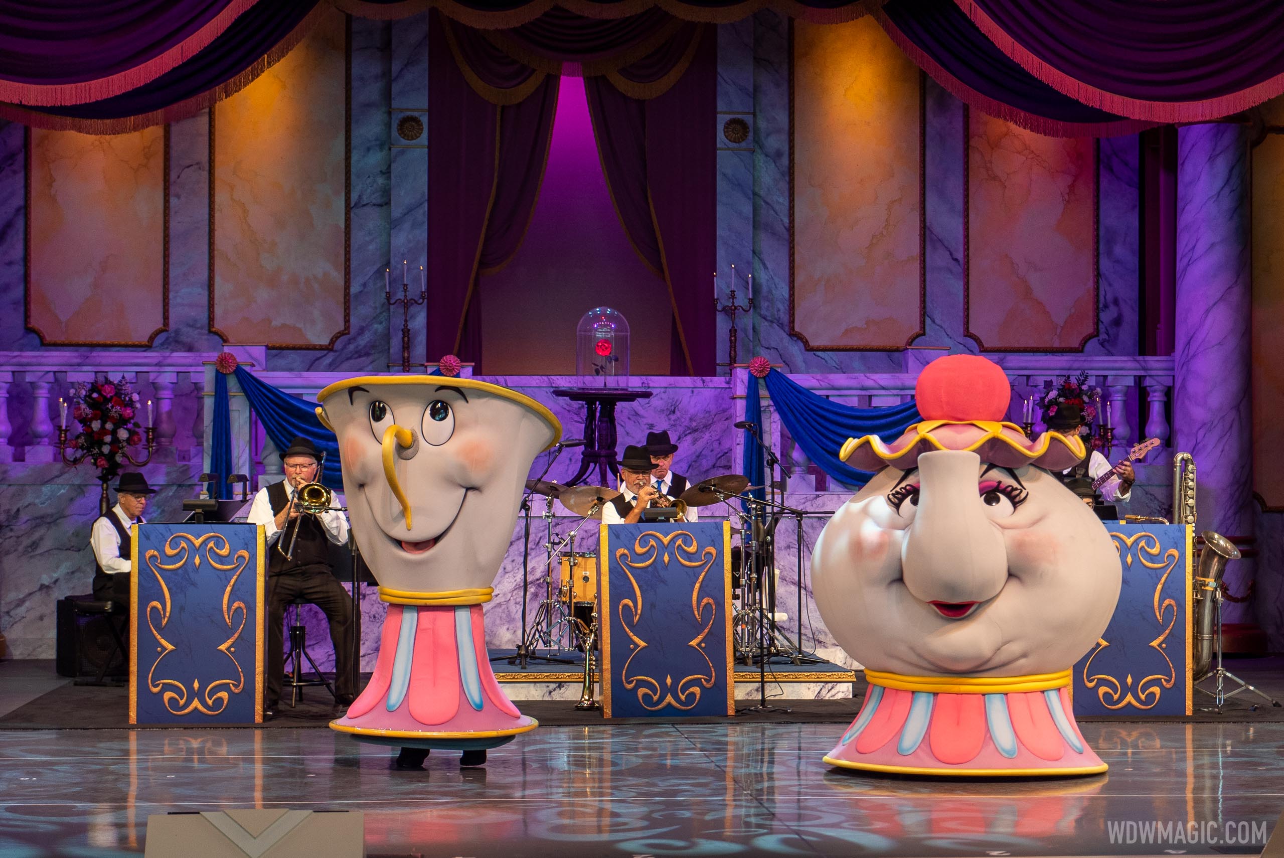 The Disney Society Orchestra and Friends overview Photo 9 of 13