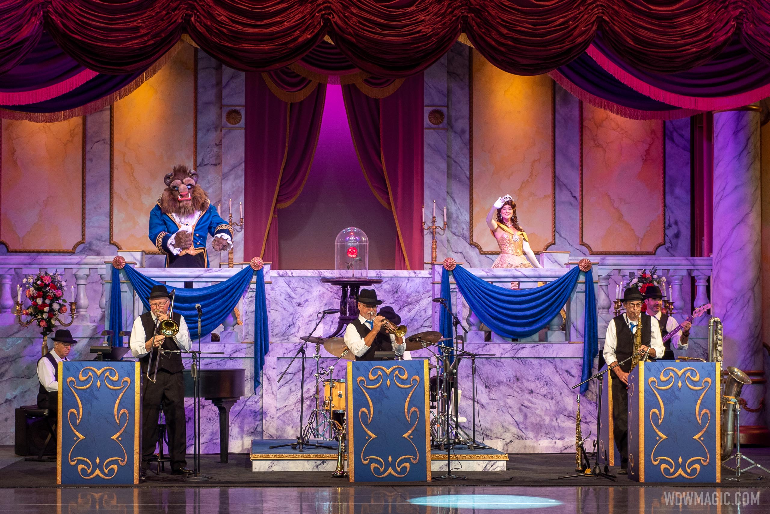 The Disney Society Orchestra and Friends overview Photo 12 of 13