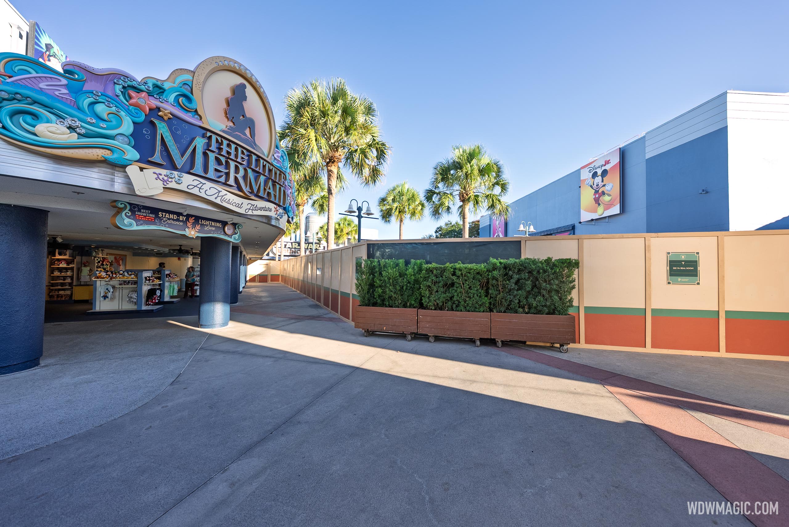 www.wdwmagic.com