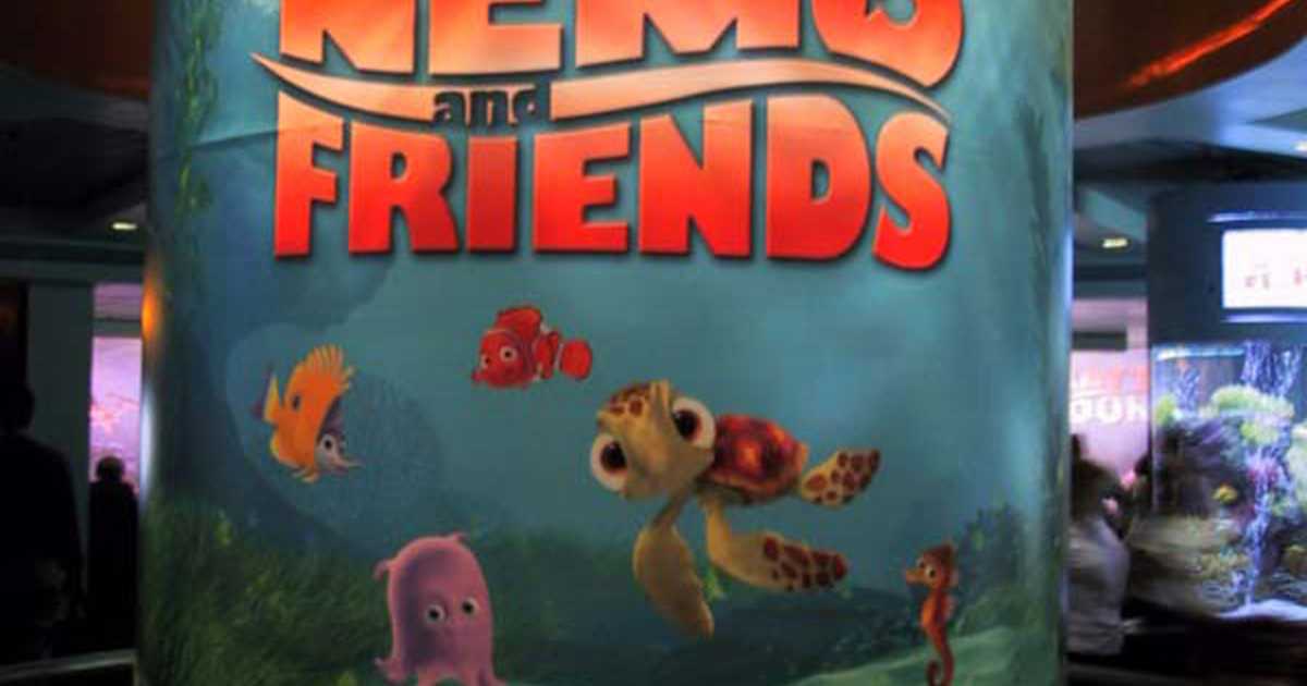 More Nemo - Photo 4 of 5