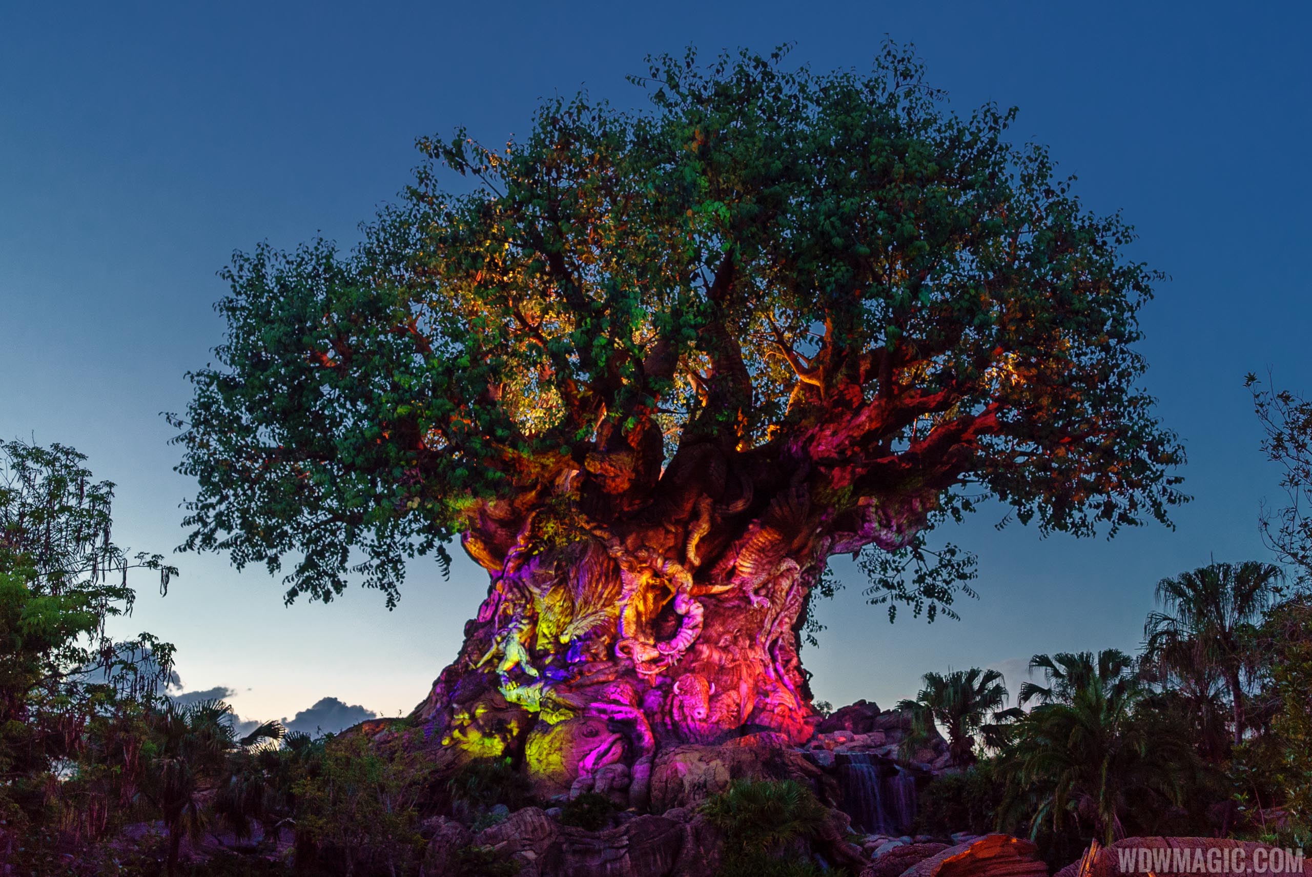 Tree of Life Awakenings to return to Disney's Animal Kingdom this fall