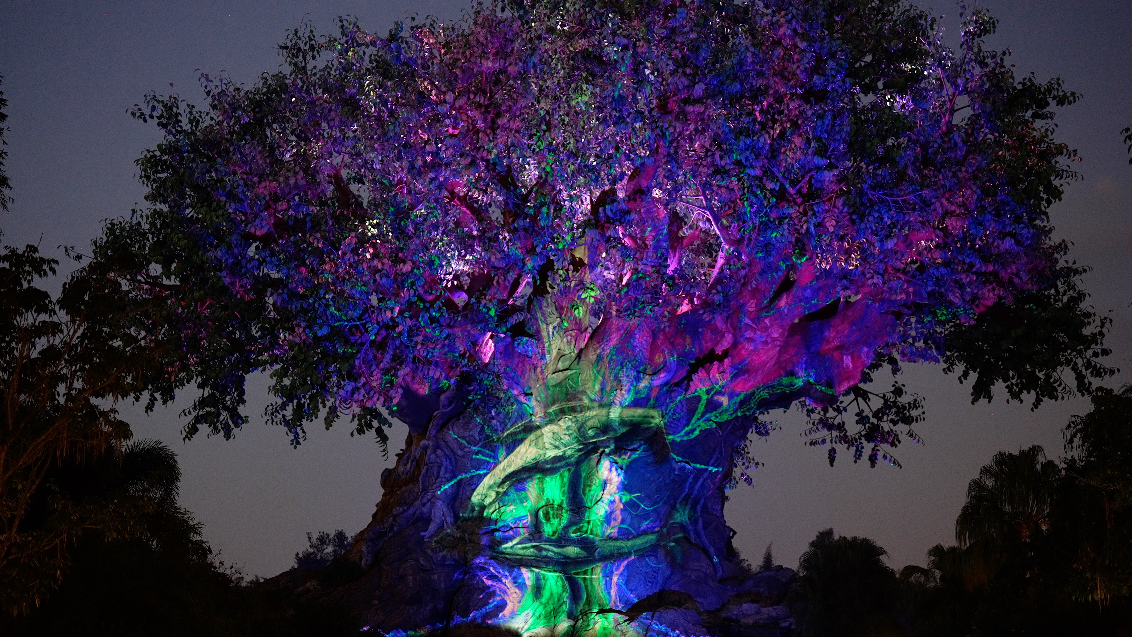 REVIEW Disneys new Pandora  The World of Avatar lets visitors dream with  their eyes open