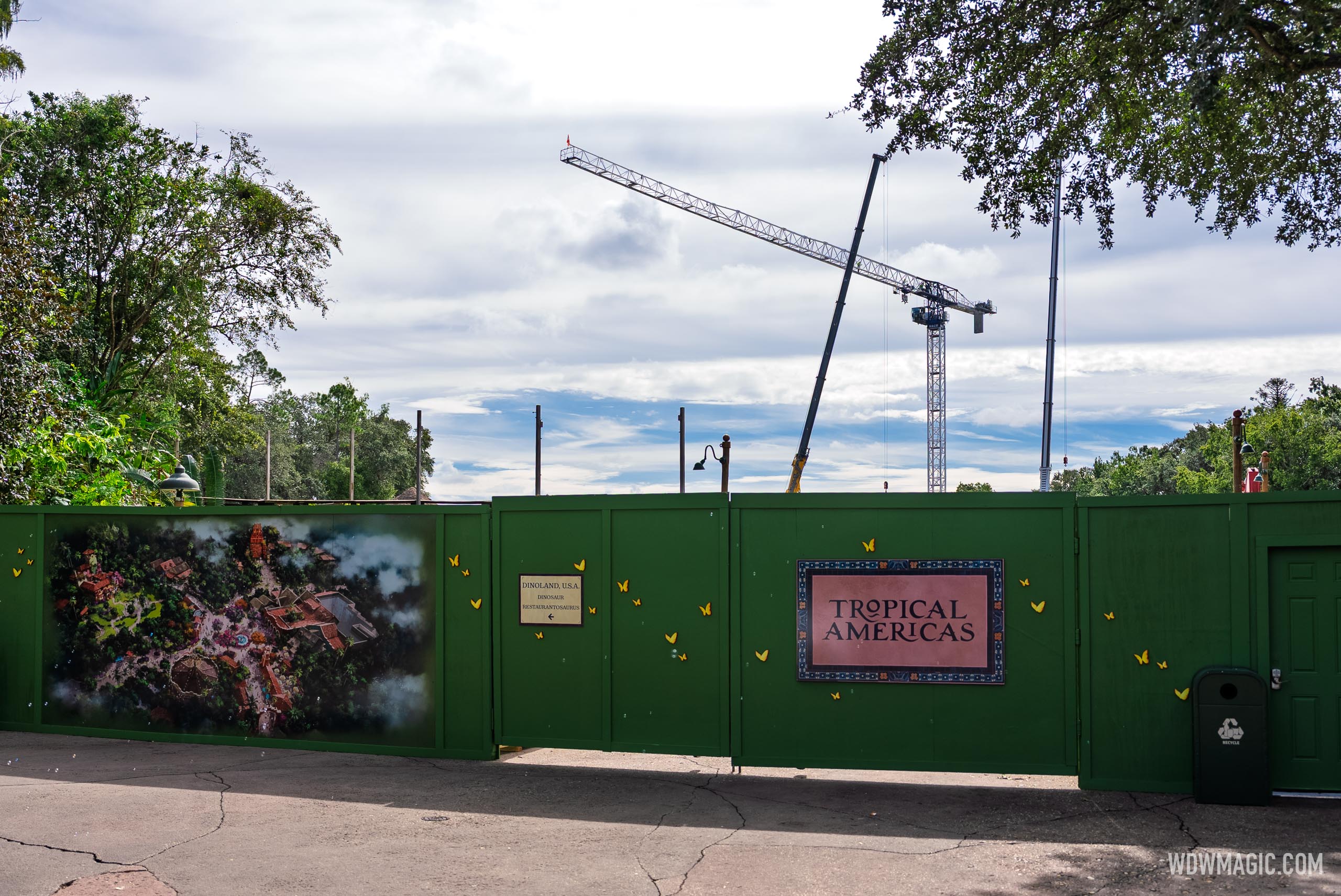 www.wdwmagic.com