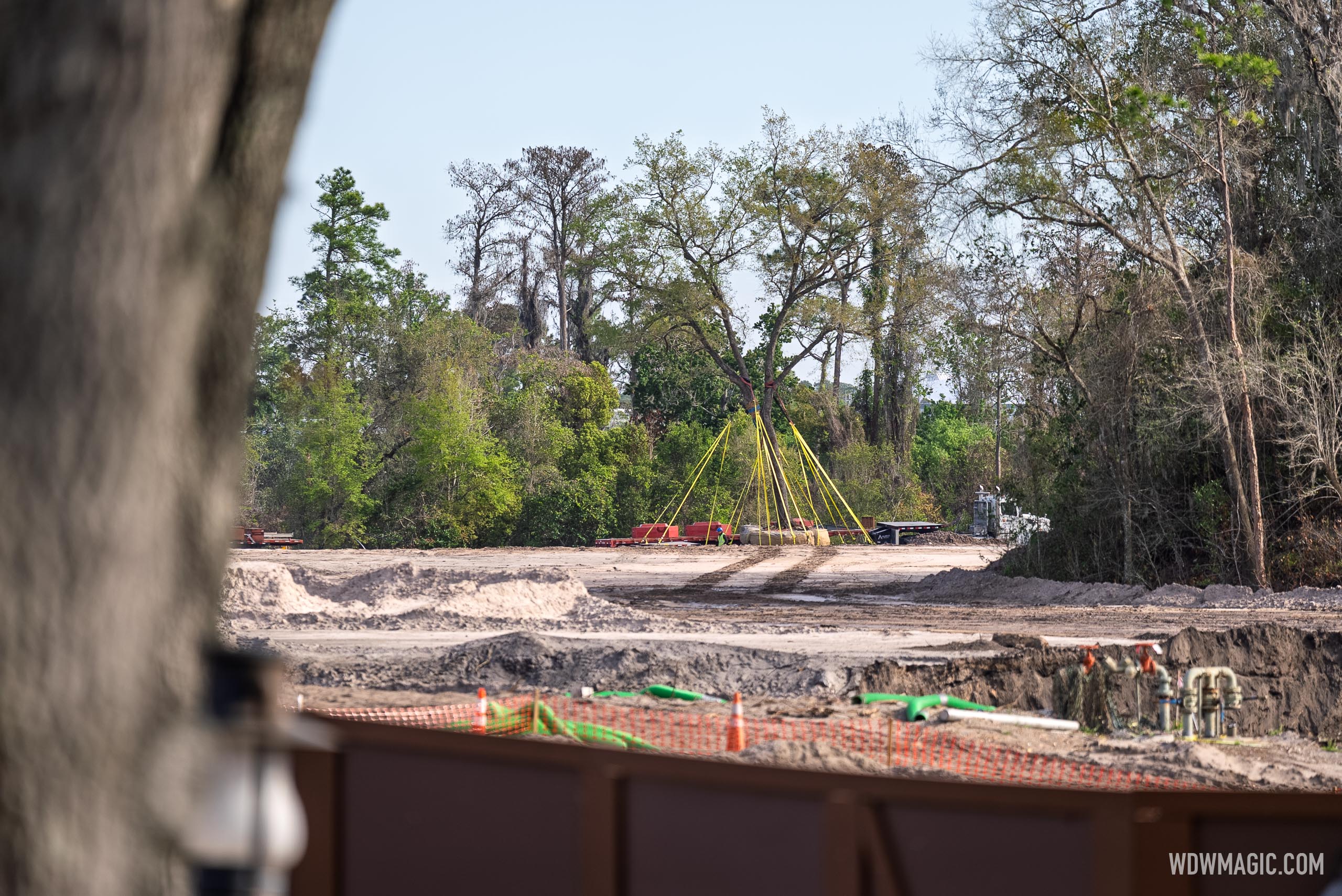 Disney Relocating Mature Oak Trees from Villains Land Construction Site