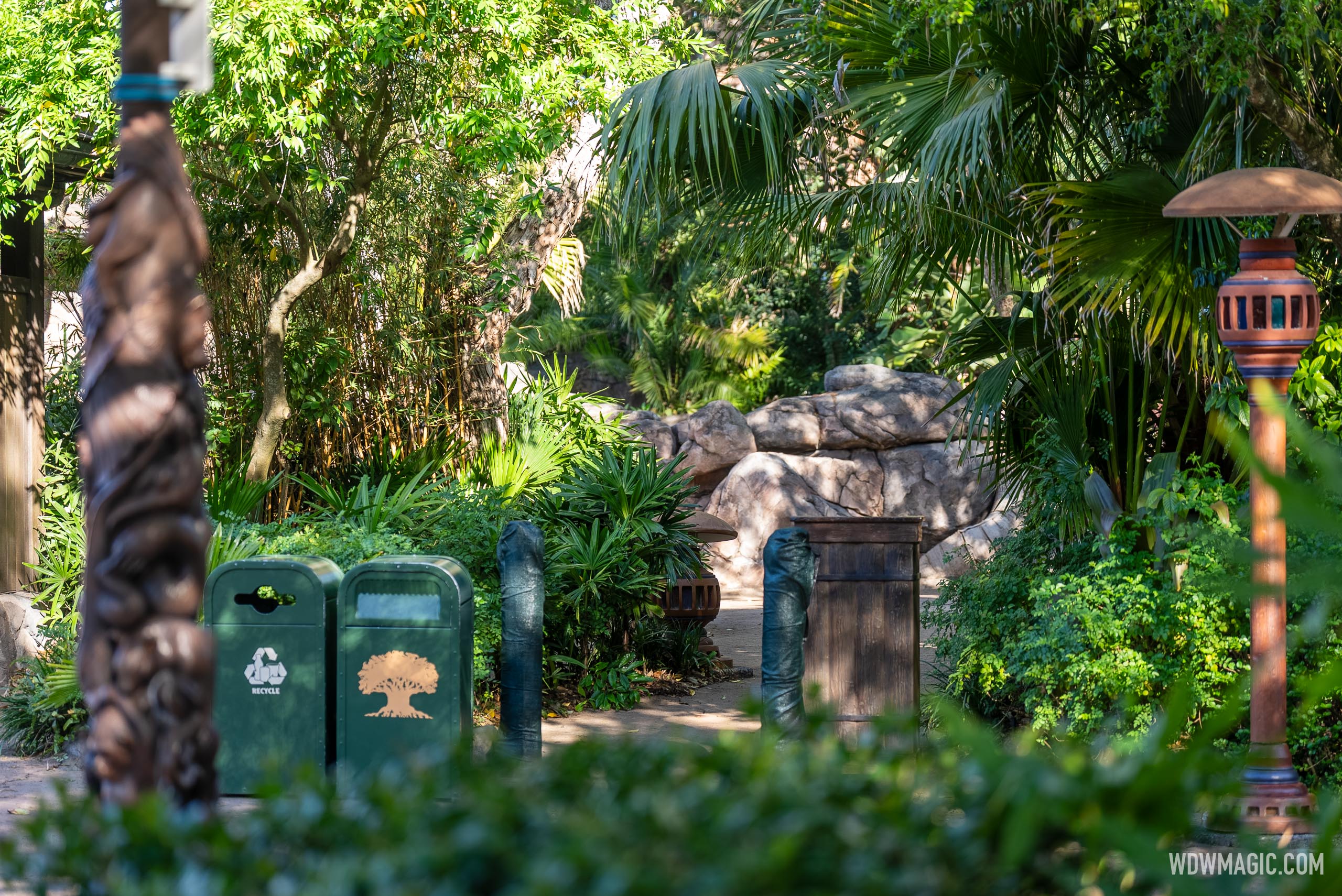 www.wdwmagic.com