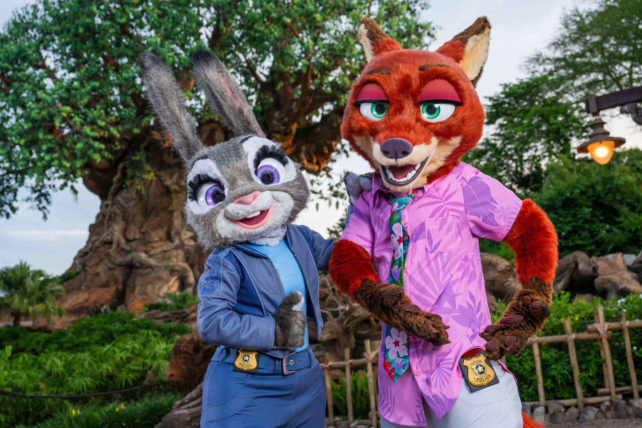 www.wdwmagic.com
