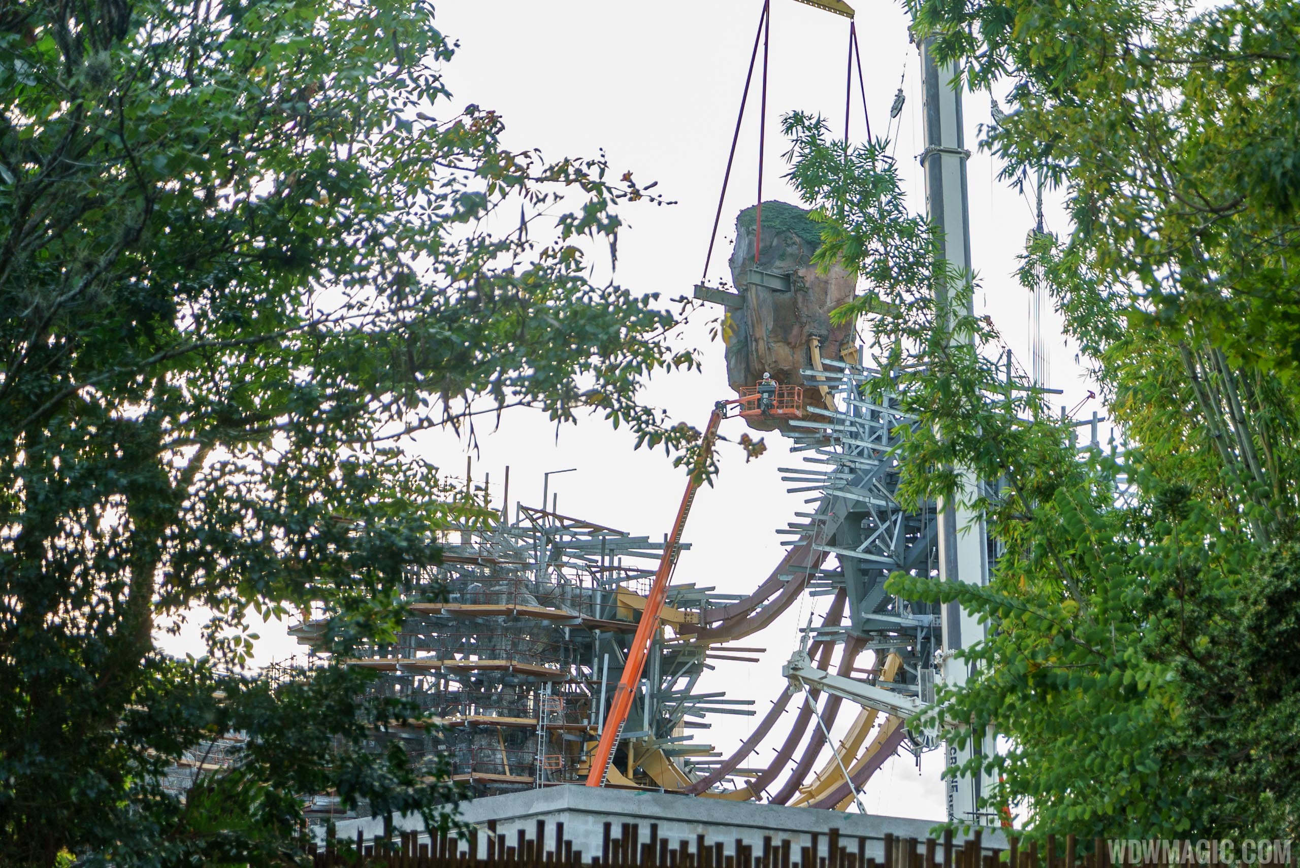 PHOTOS - Pandora's first floating mountain arrives at Disney's Animal  Kingdom