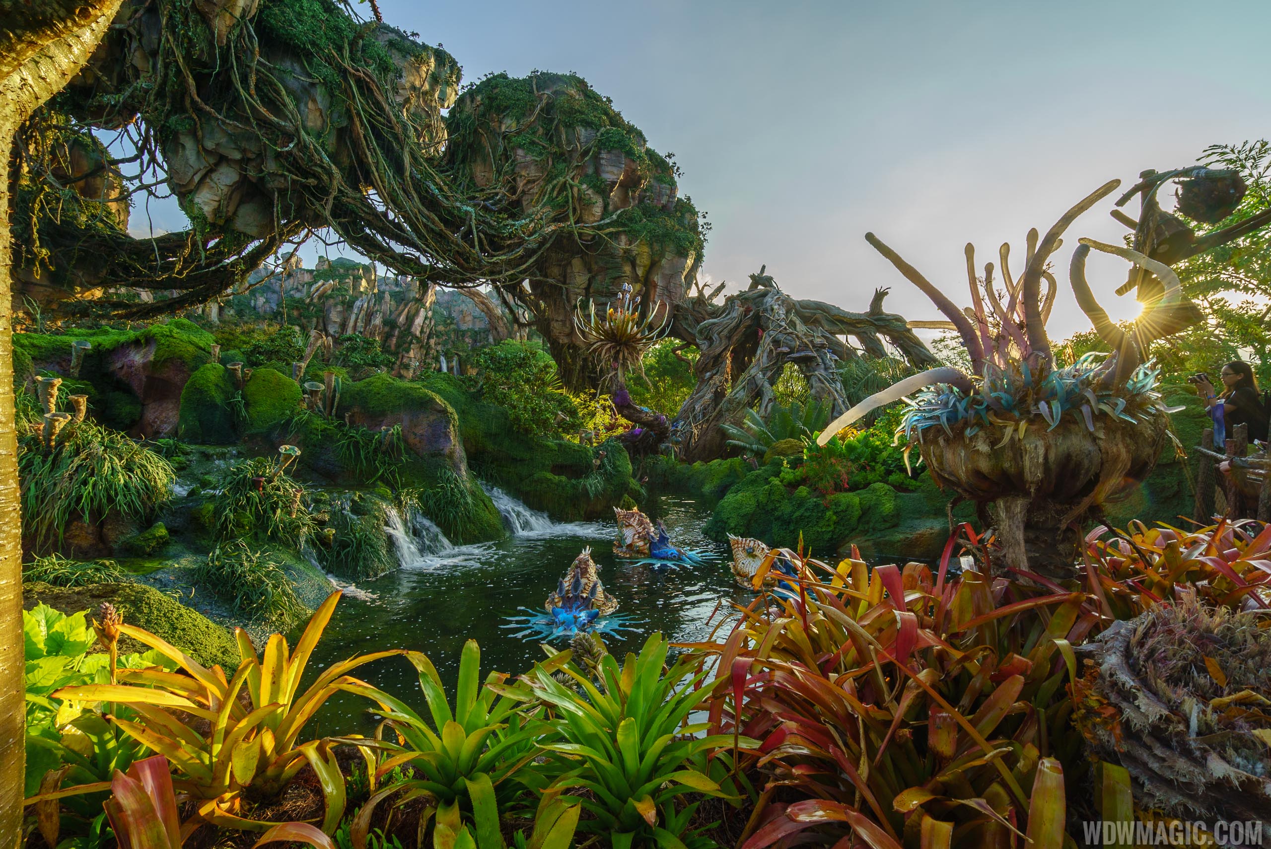 Avatar's Avatar at Disney Animal Kingdom - Disney at Work