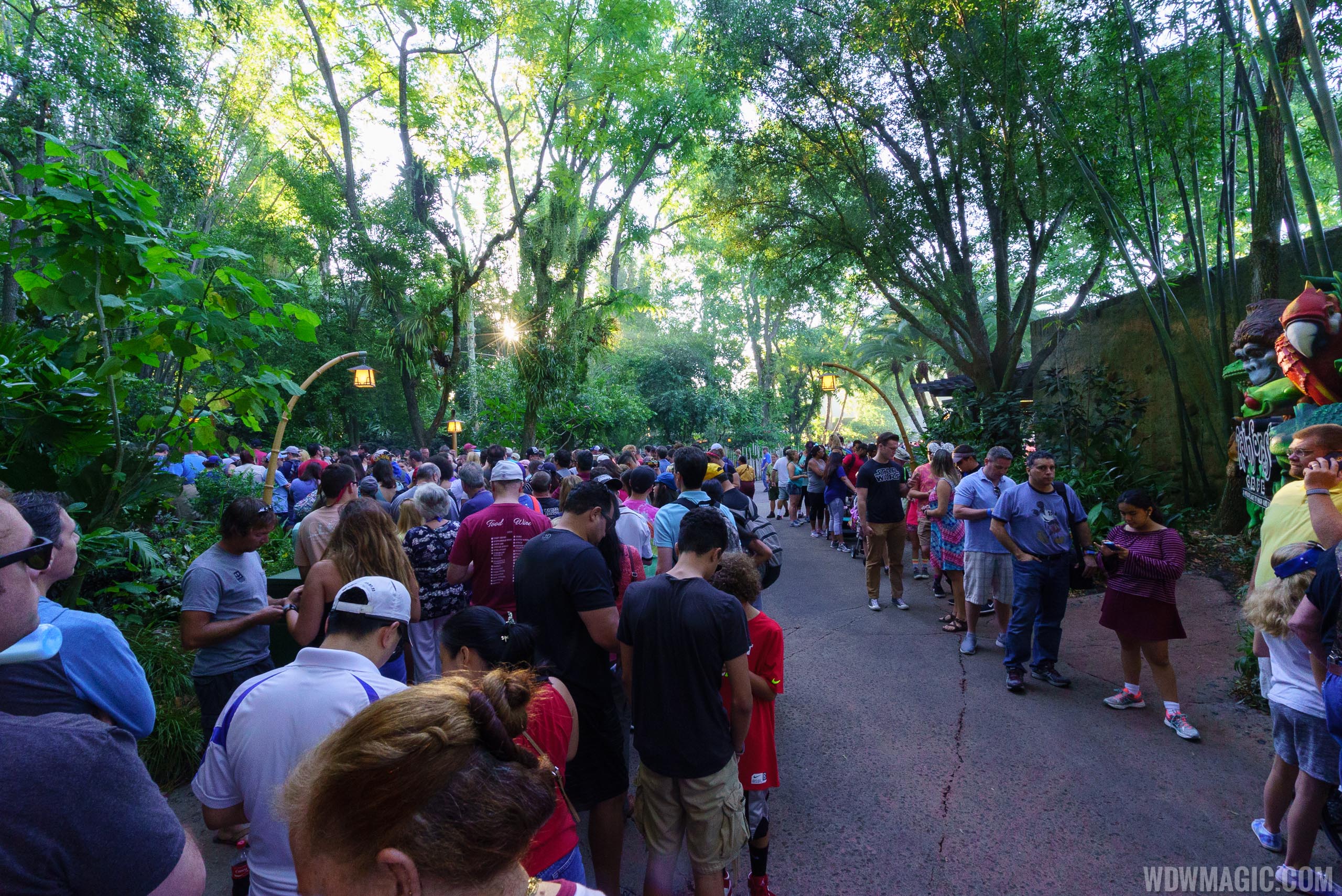 opening day crowds at pandora the world of avatar photo 1 of 13