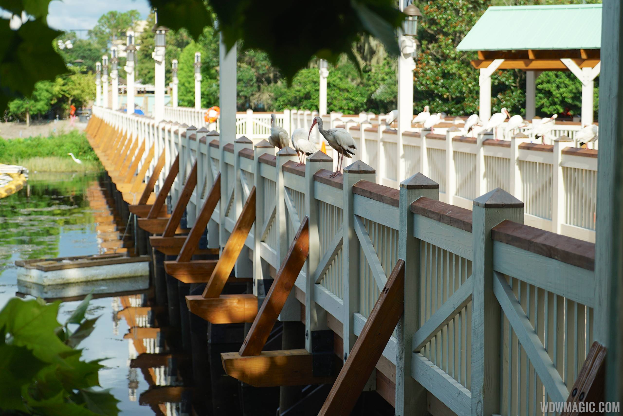 Marketplace to Saratoga Springs Resort bridge and boat dock