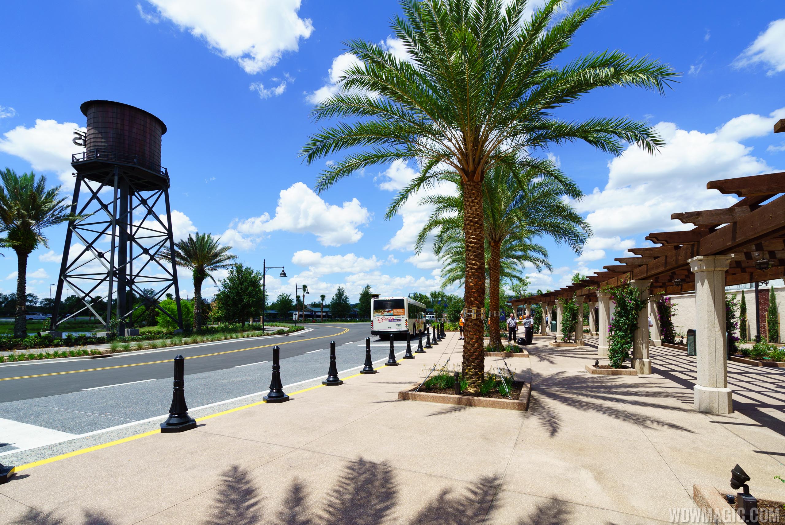 can you take a bus from magic kingdom to disney springs