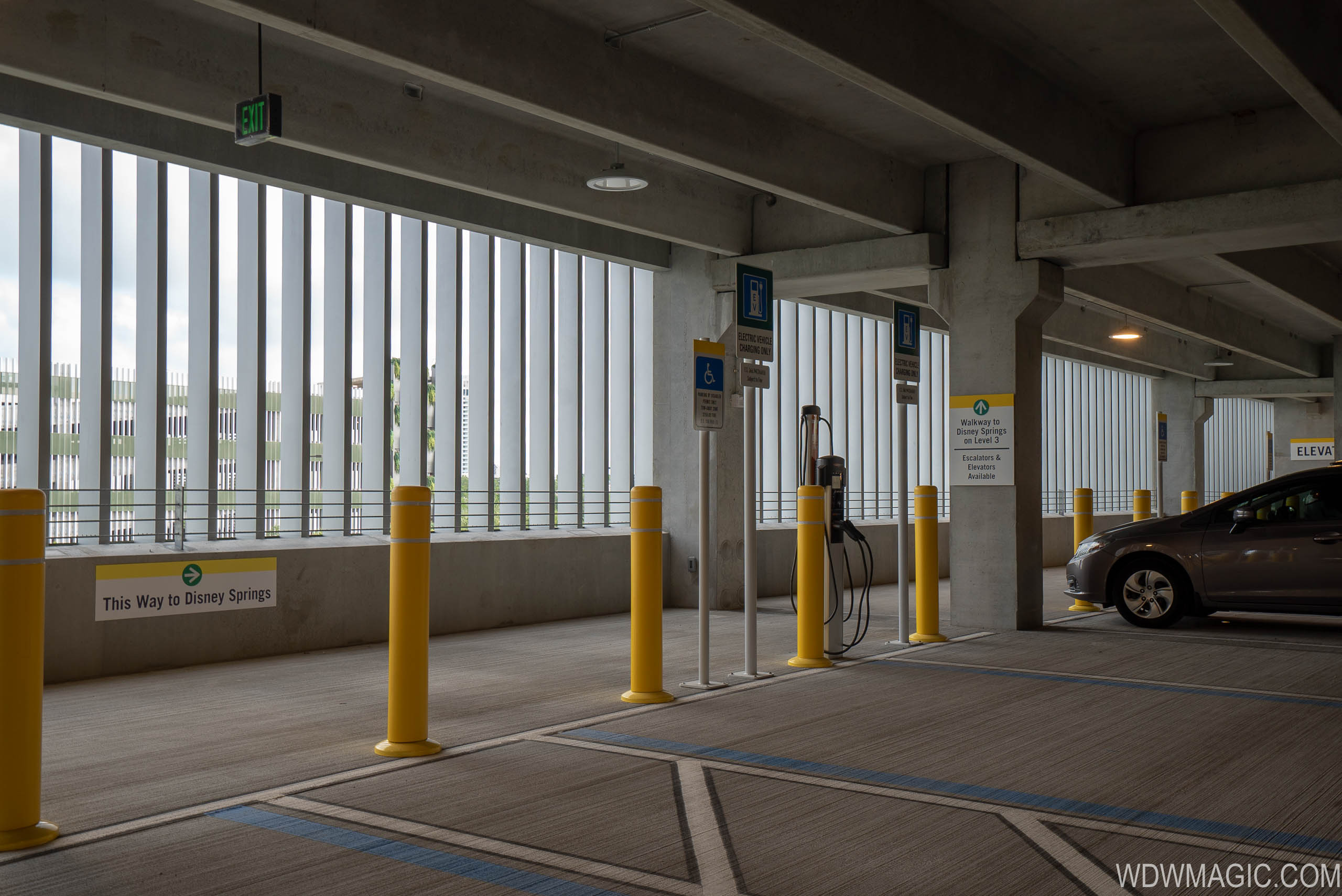 Disney Springs Grapefruit Garage opening day Photo 5 of 14