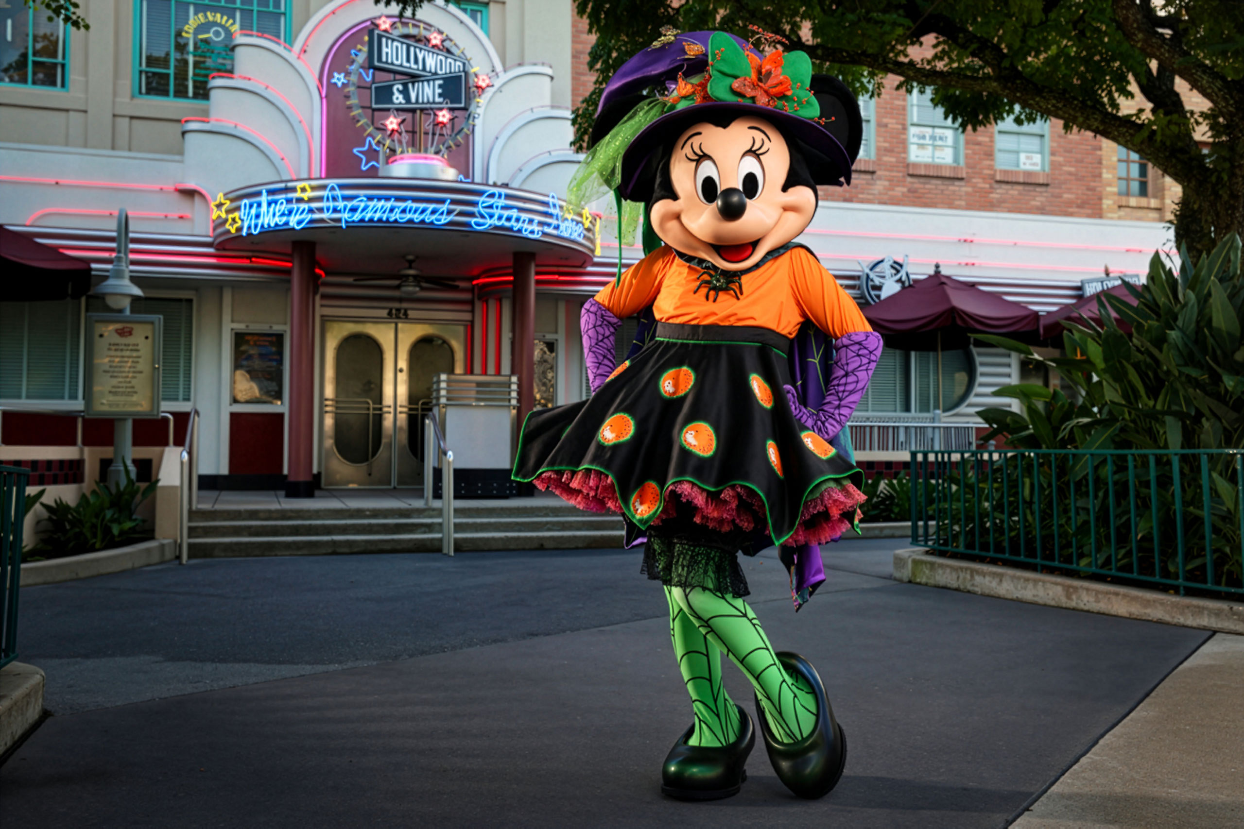 www.wdwmagic.com
