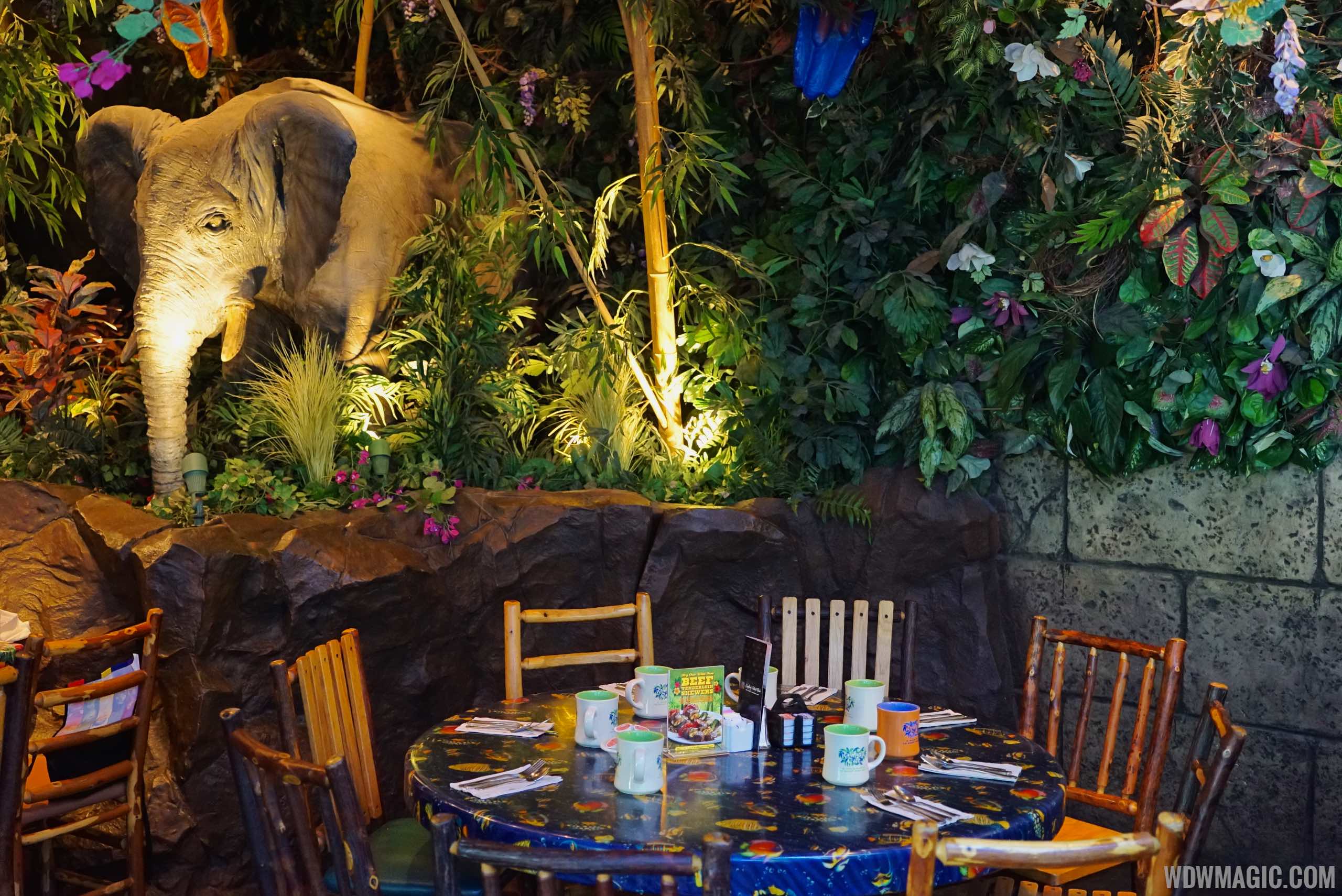 Rainforest Cafe Disney's Animal Kingdom