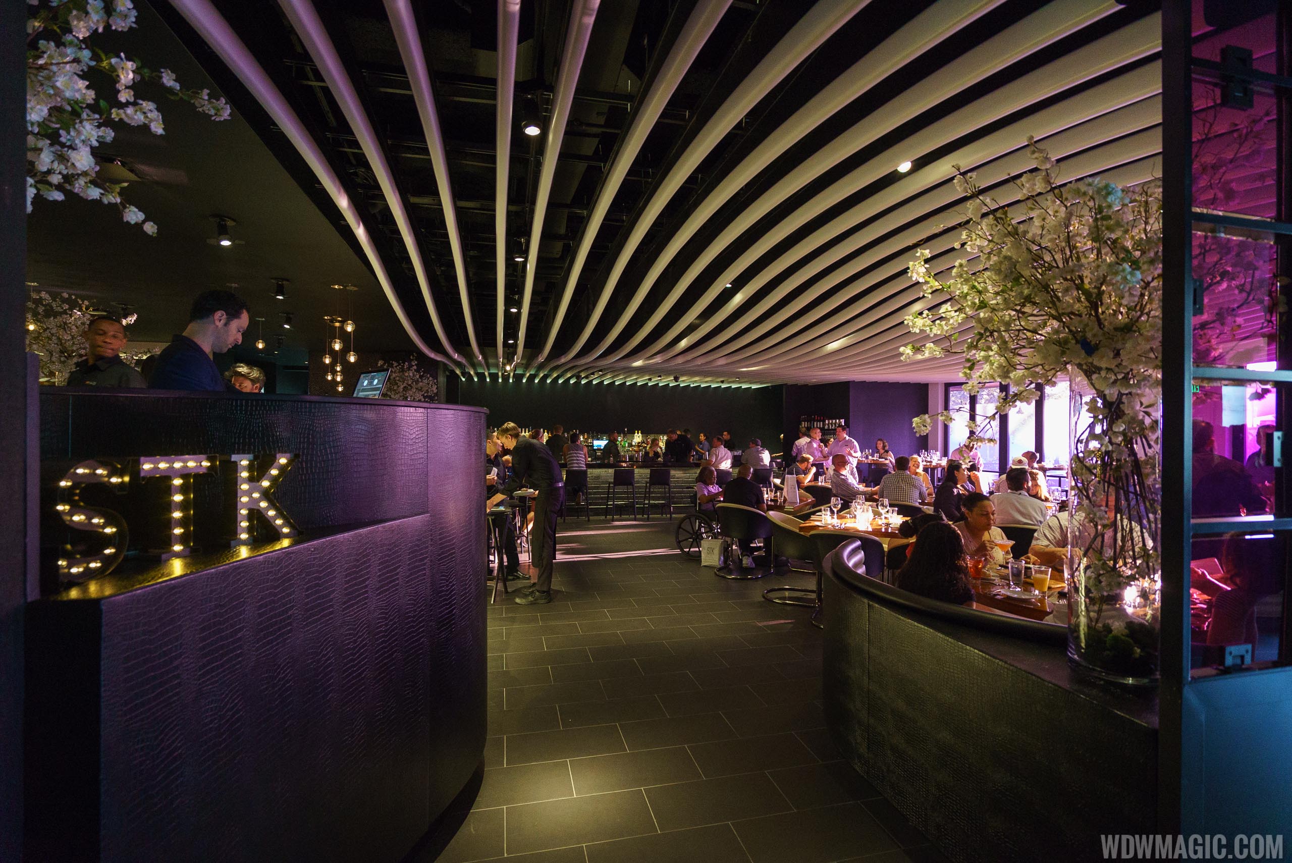 REVIEW - STK Orlando at Disney Springs